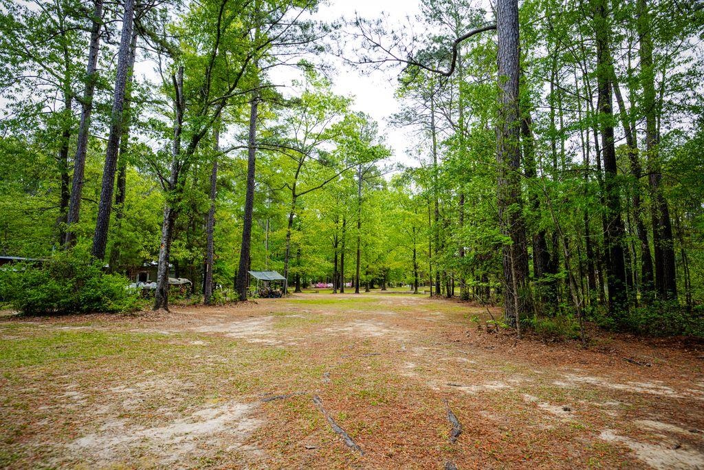 120 Honeymoon Ln Property Photo 6