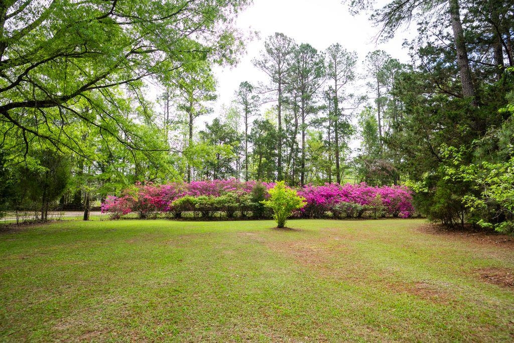 120 Honeymoon Ln Property Photo 10