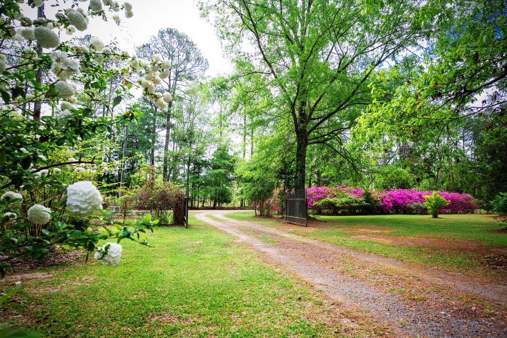 120 Honeymoon Ln Property Photo 17