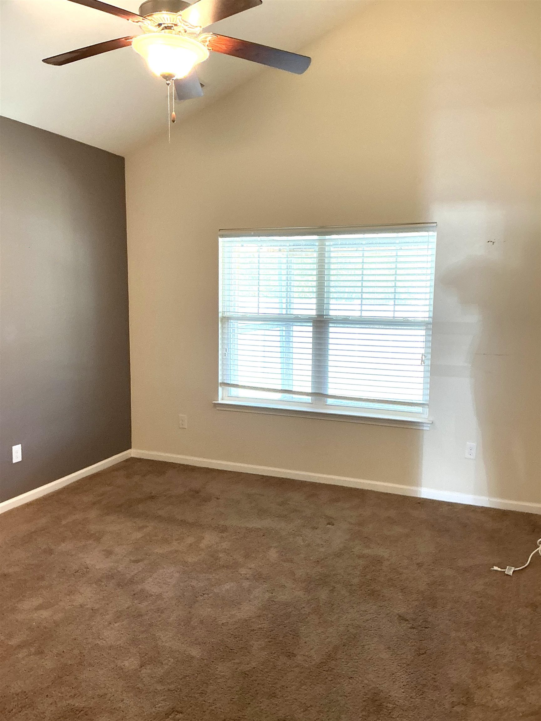 3685 White Wing Circle Property Photo 14
