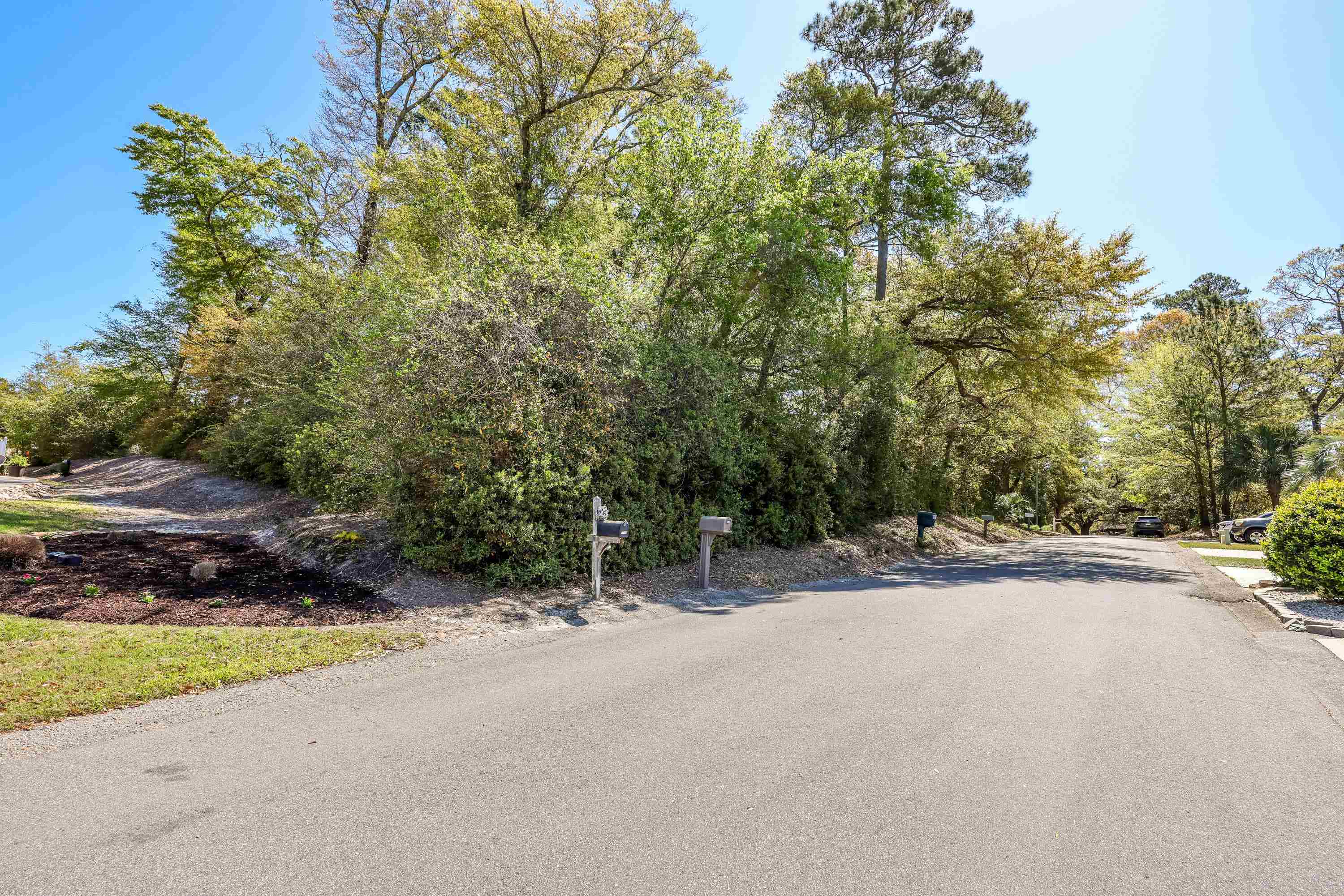 Tbd Frye Ave. Property Photo 3