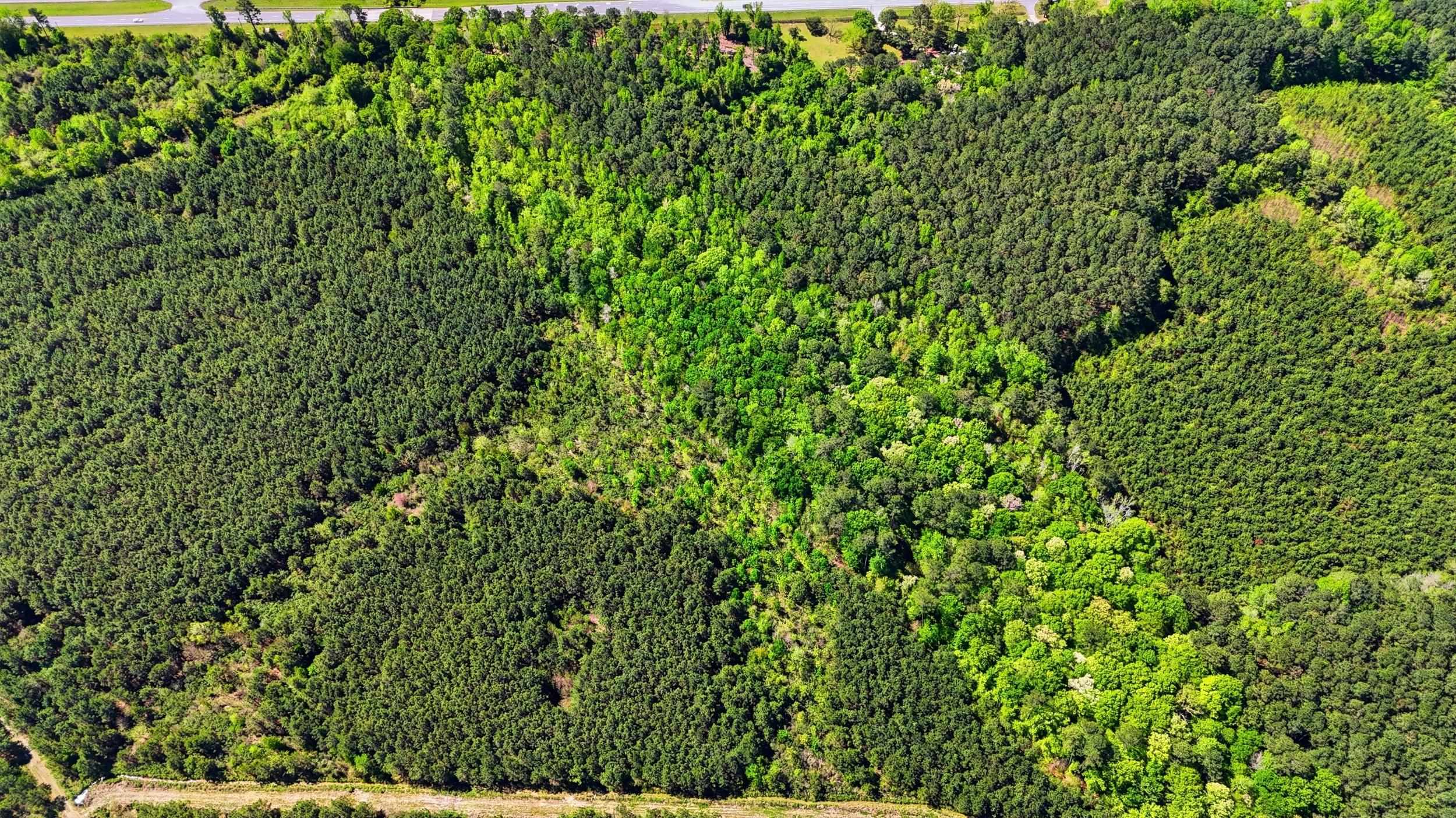 Tbd Highway 9 Property Photo 11