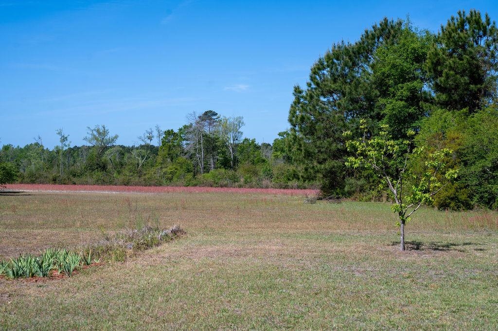 2007 Venus Ct. Property Photo 6