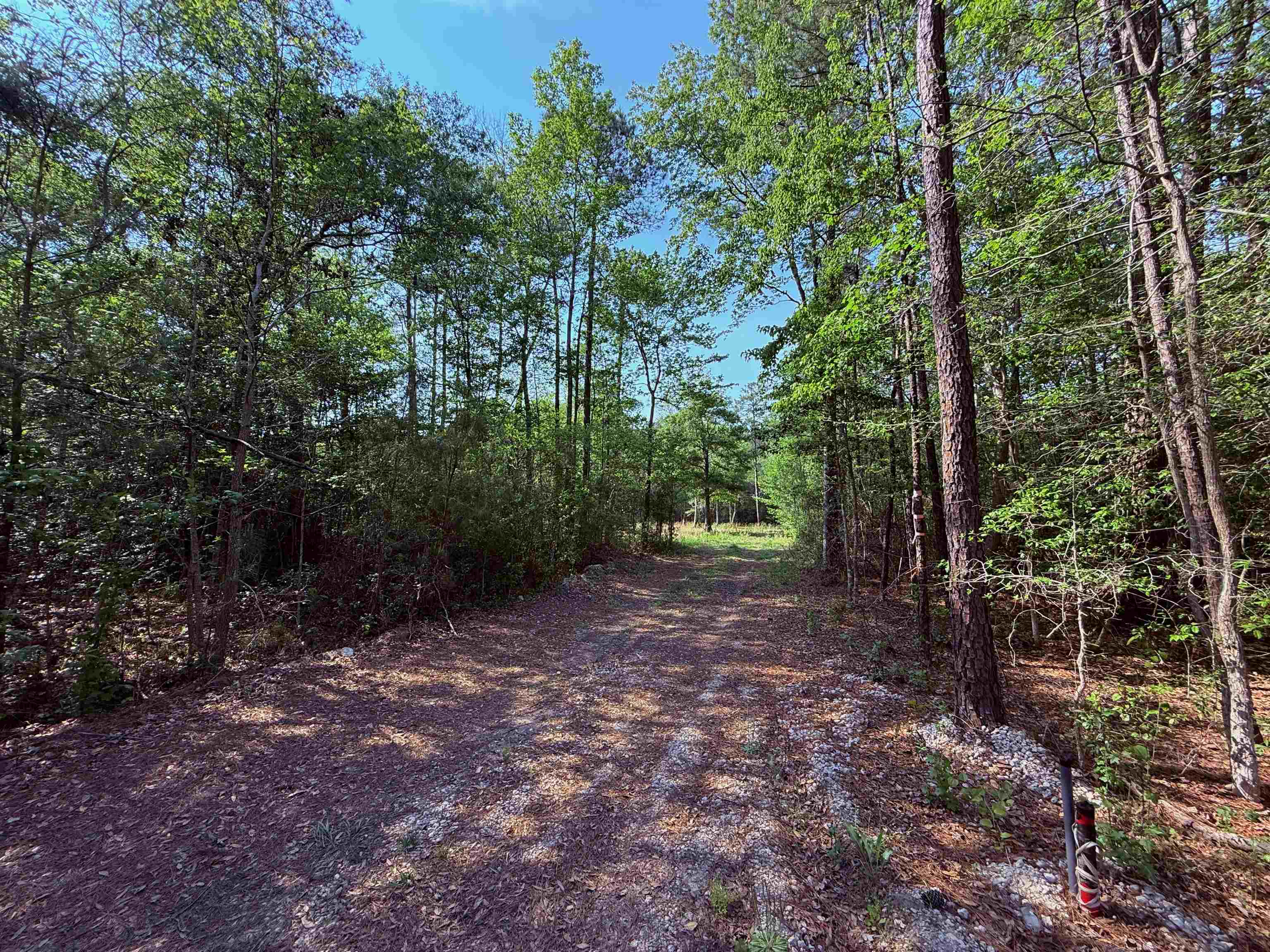 2400 Sunny Heights Rd. Property Photo 3