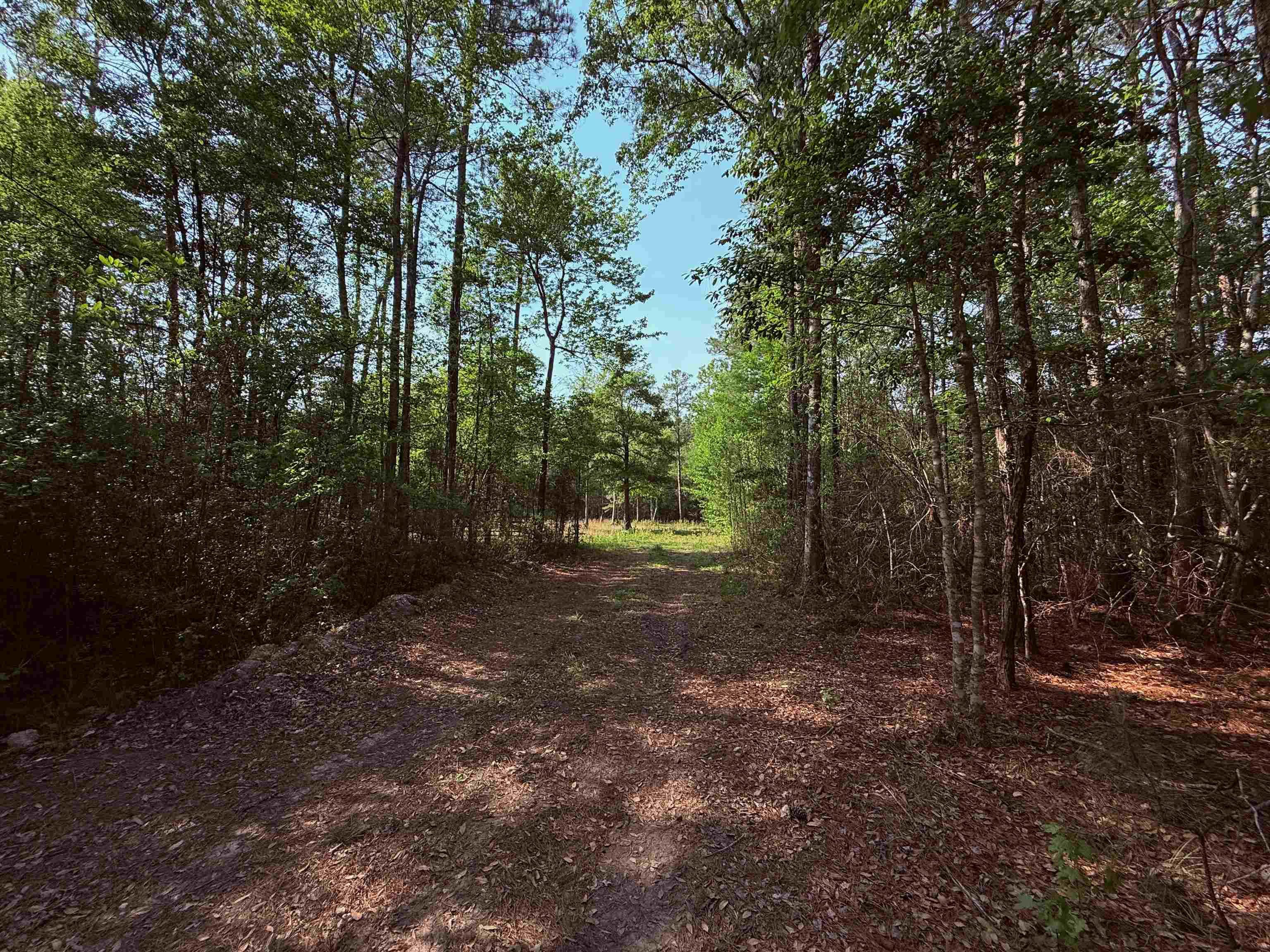 2400 Sunny Heights Rd. Property Photo 4