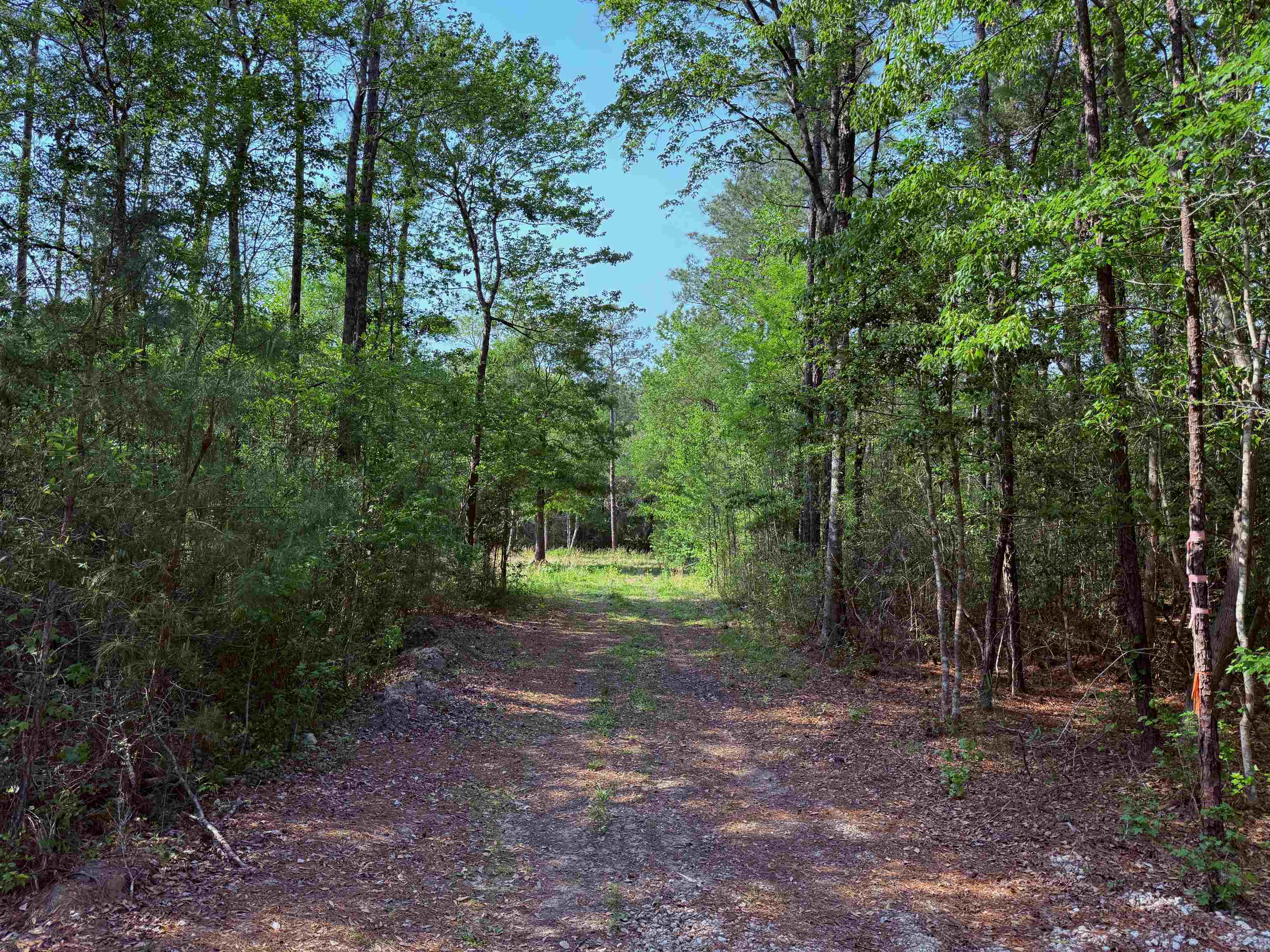 2400 Sunny Heights Rd. Property Photo 5