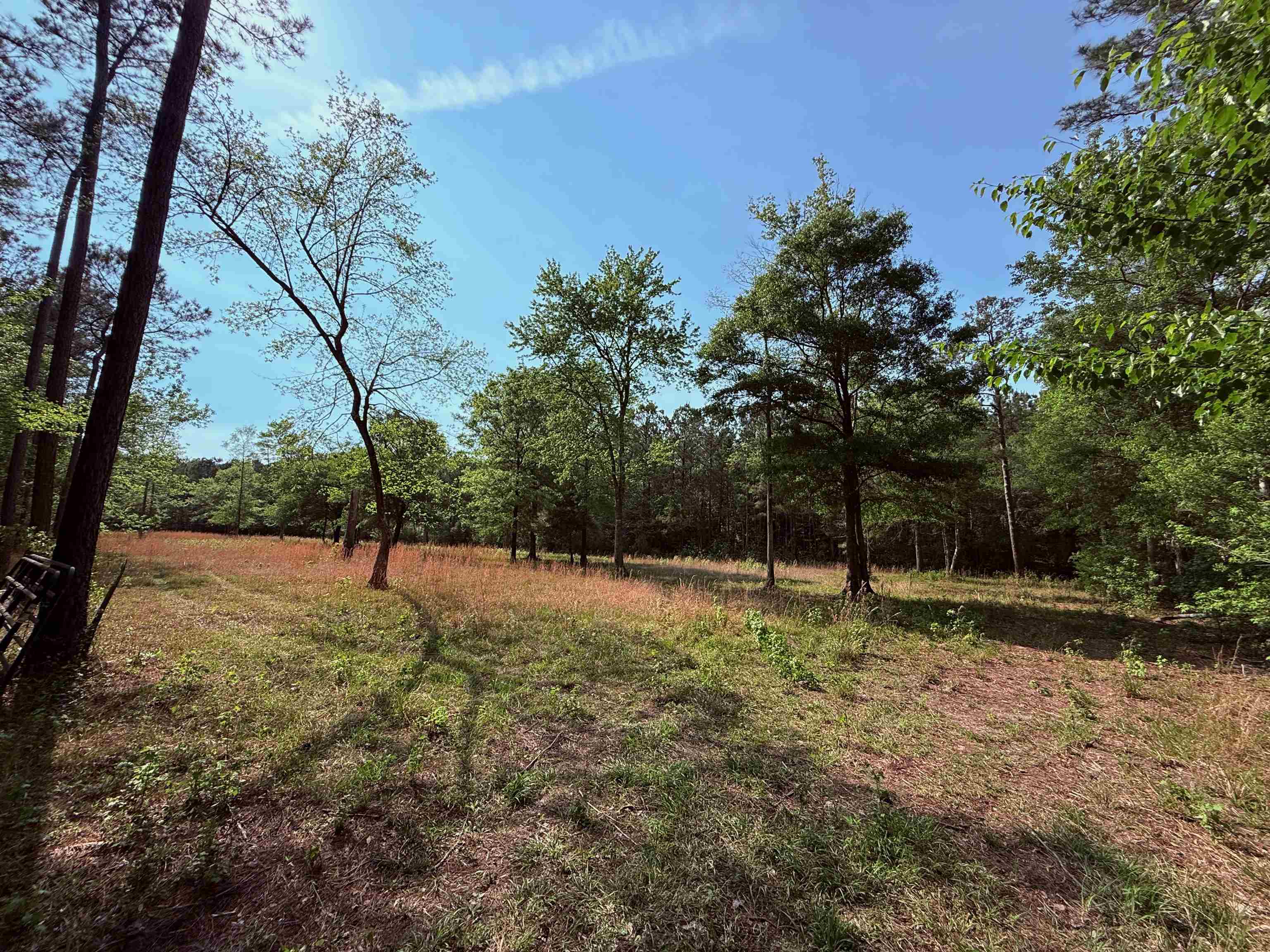 2400 Sunny Heights Rd. Property Photo 6