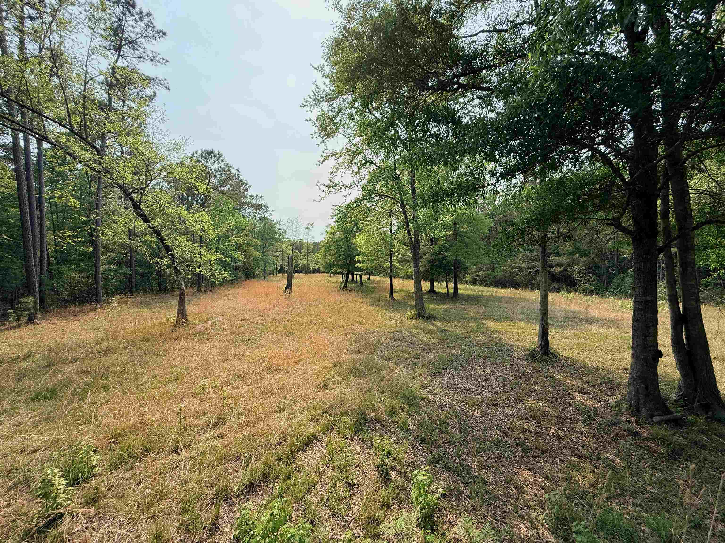 2400 Sunny Heights Rd. Property Photo 7