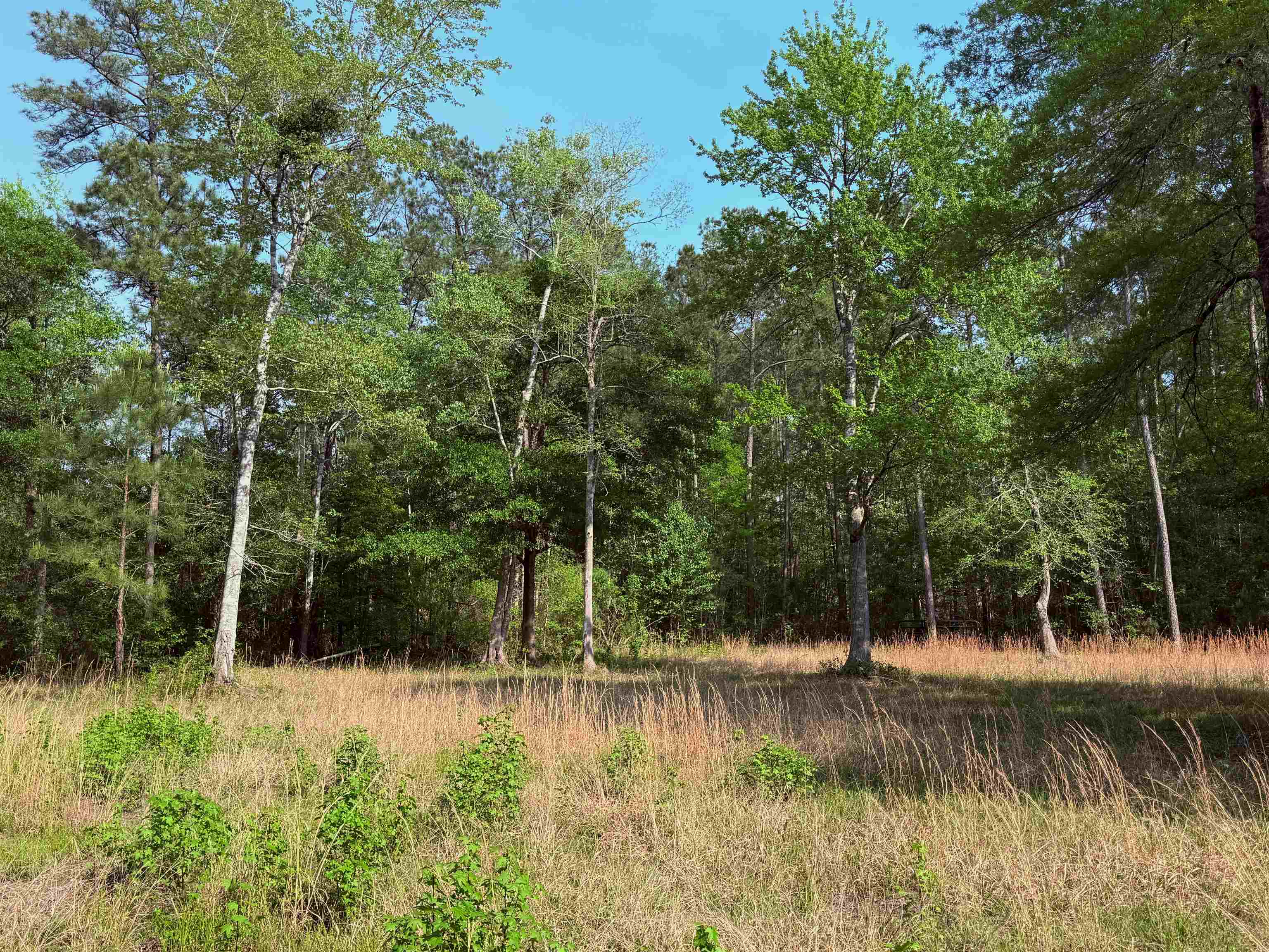 2400 Sunny Heights Rd. Property Photo 8