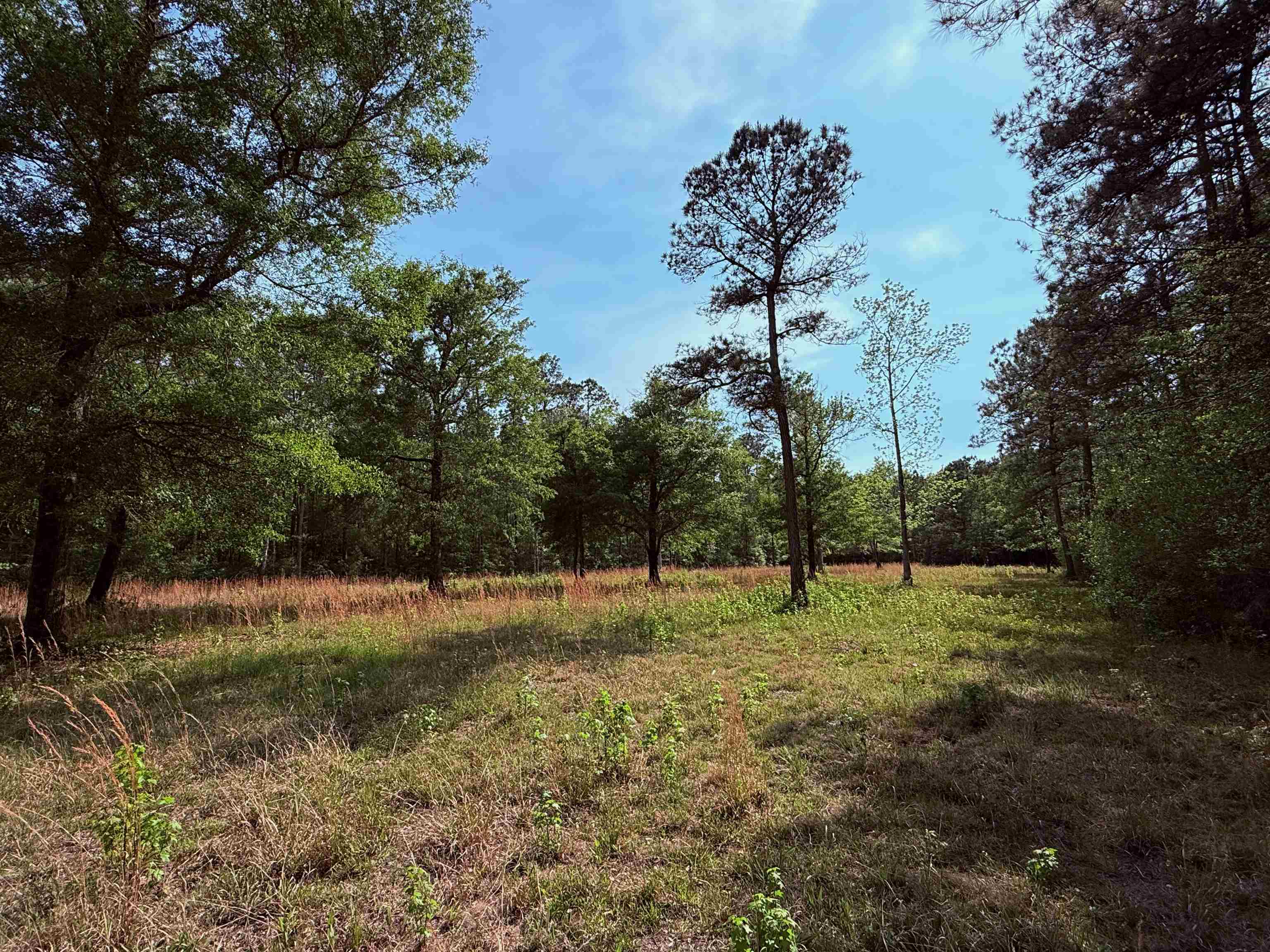 2400 Sunny Heights Rd. Property Photo 9