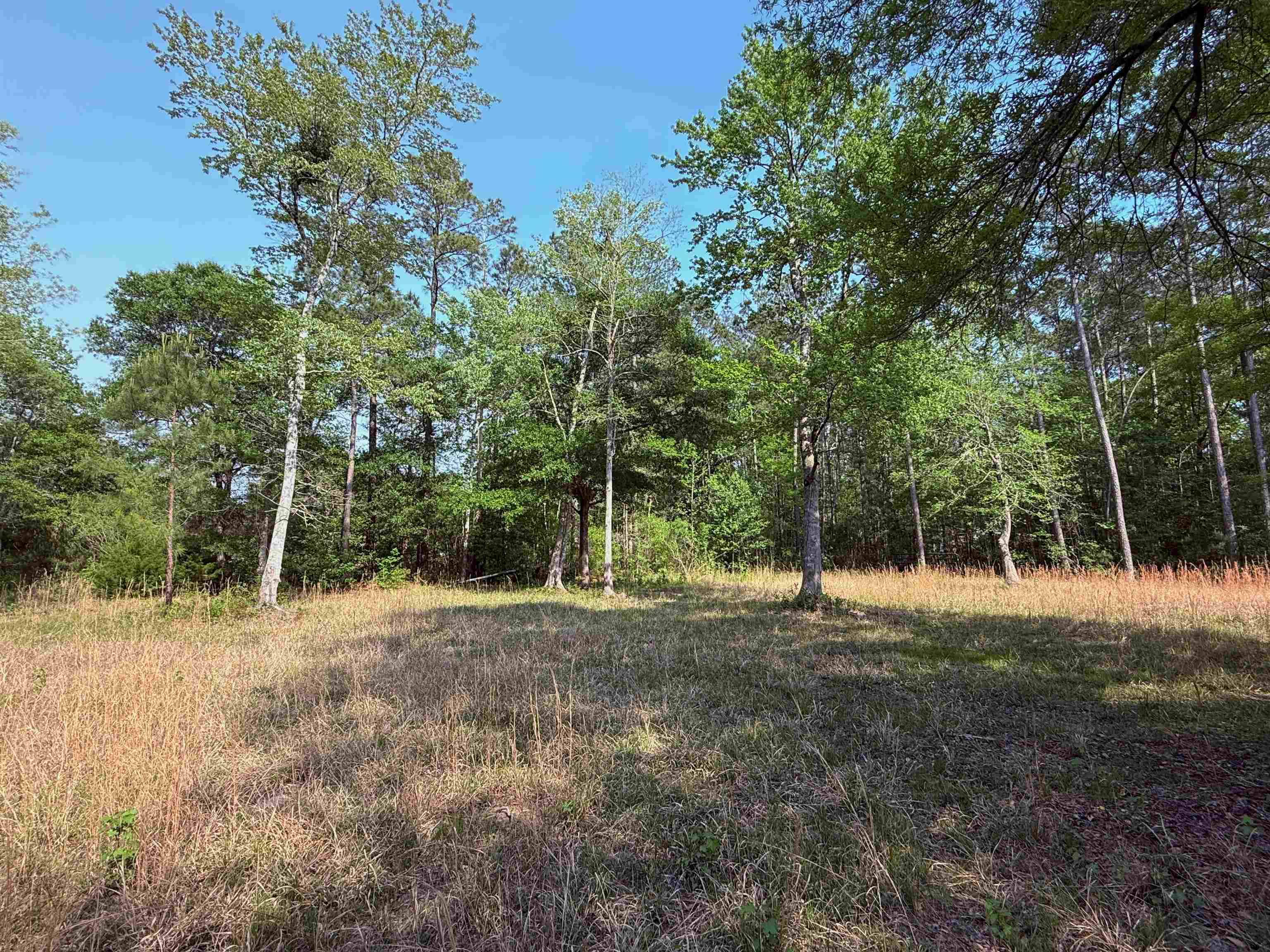 2400 Sunny Heights Rd. Property Photo 10