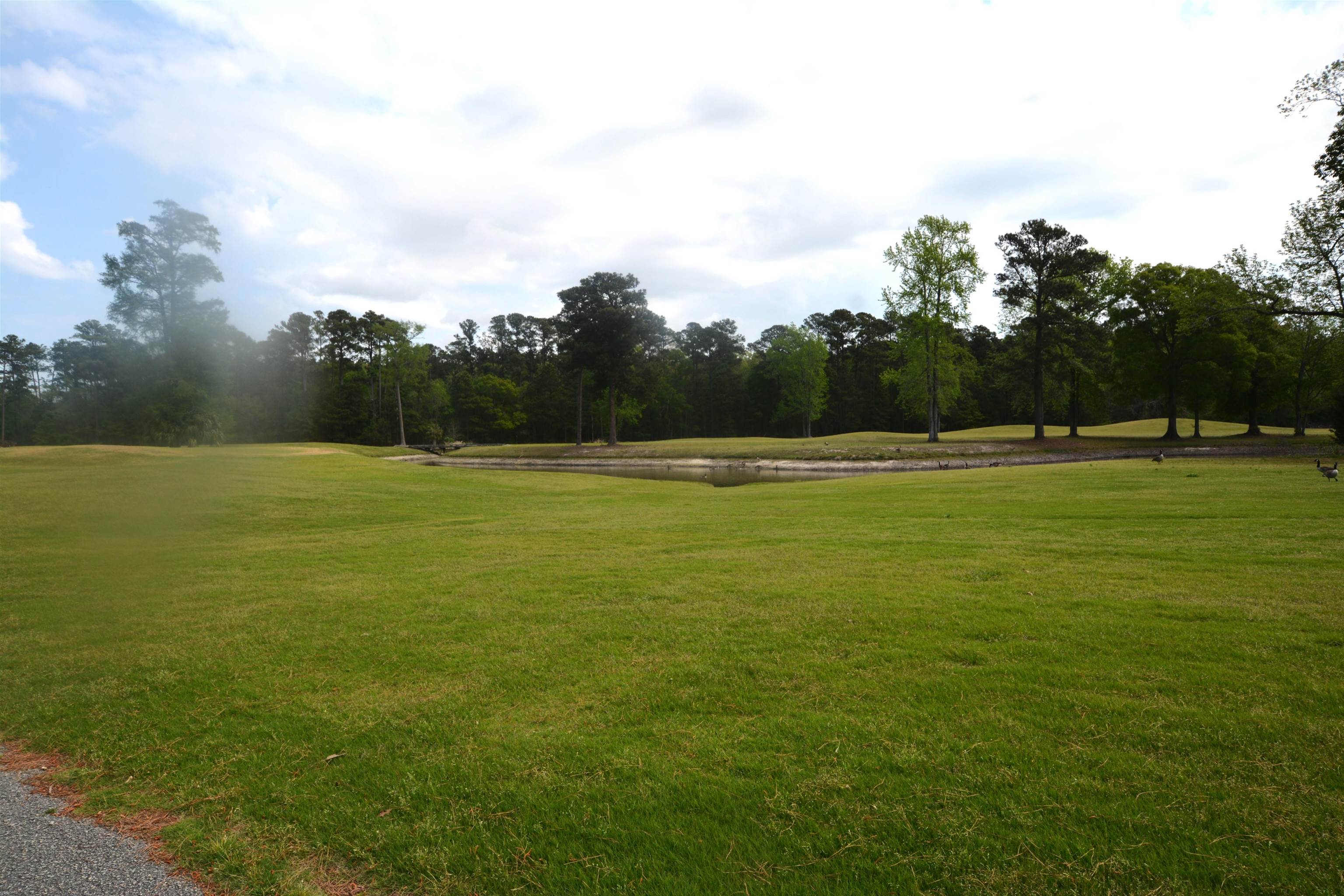 650 River Oaks Dr. Property Photo 4