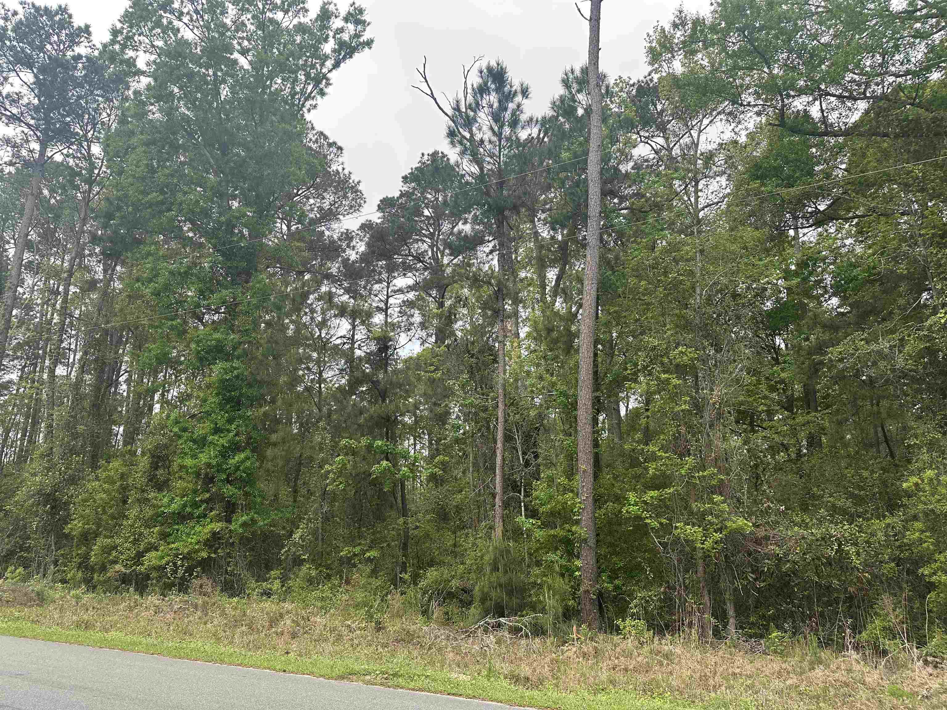 TBD Creekside Dr. Property Photo 1