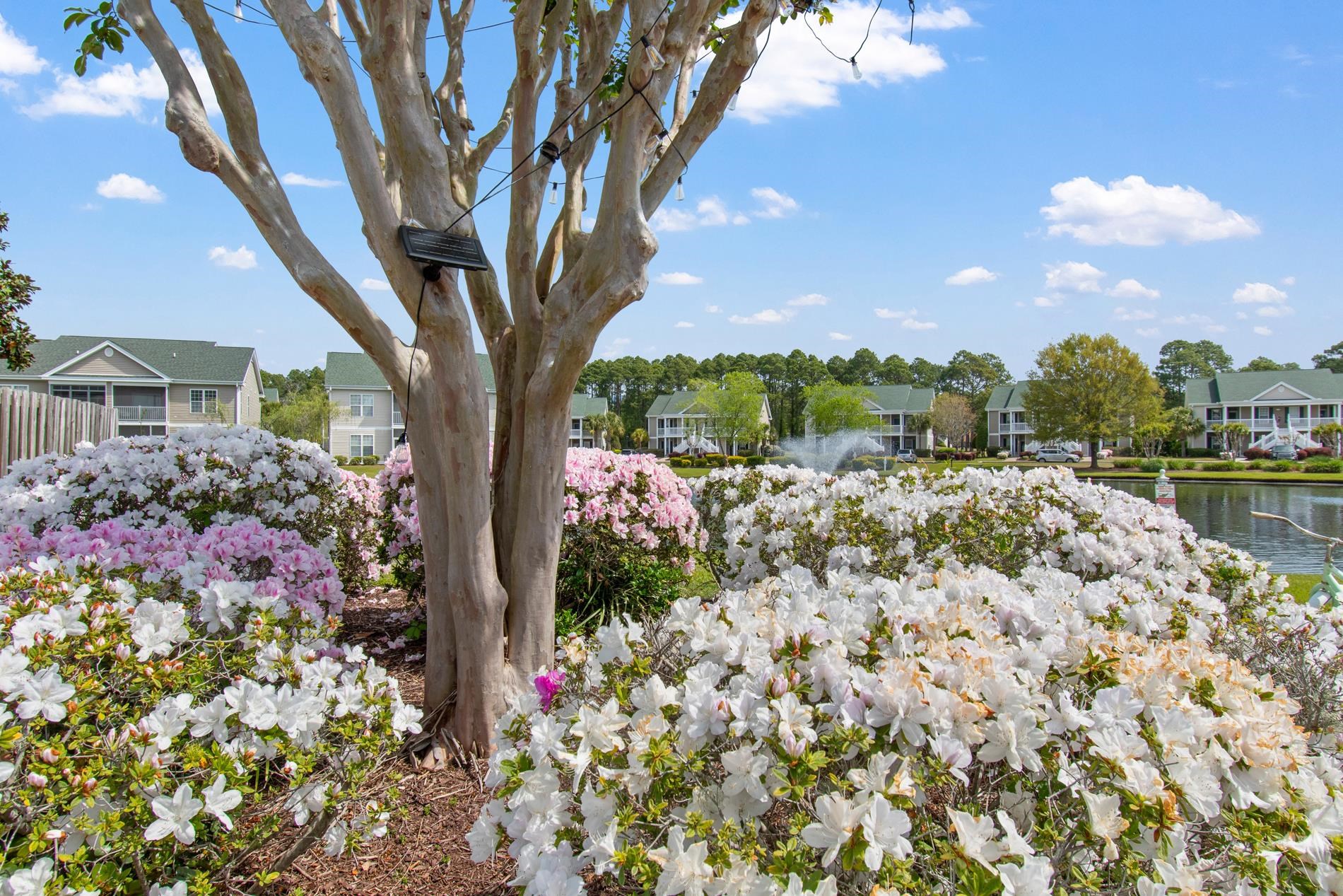 952 Sw Great Egret Circle Property Photo 3