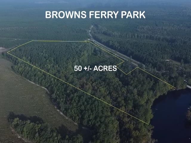 Tbd Browns Ferry Rd. Property Photo 1