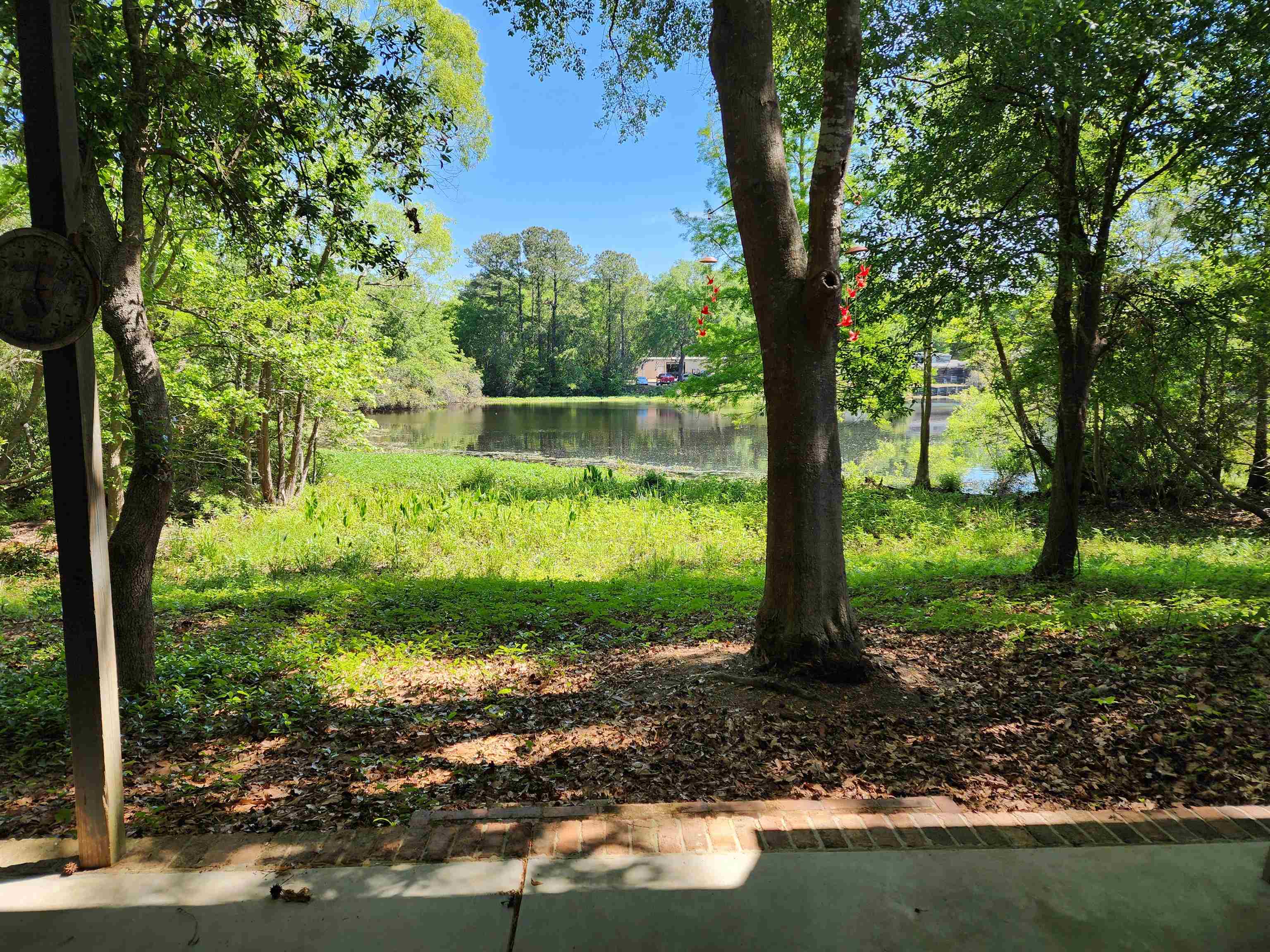 23 Monarch Ct. Property Photo 13