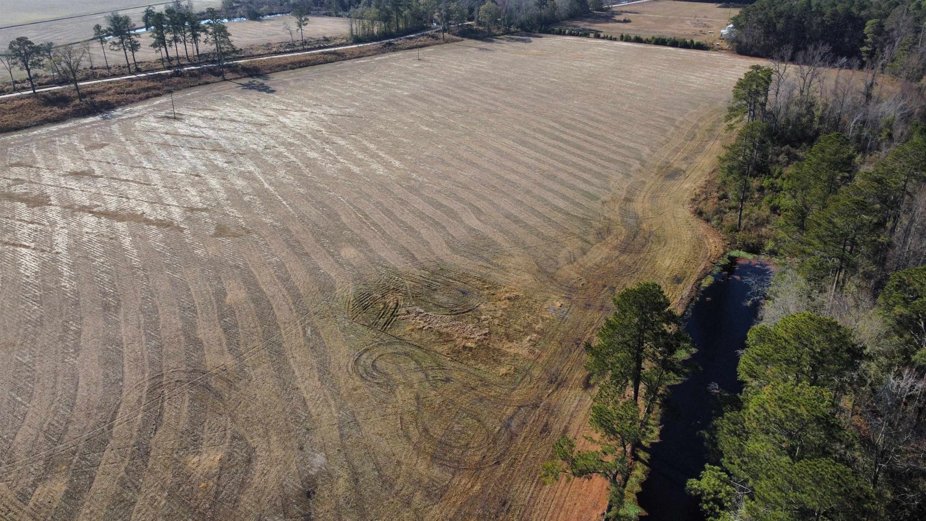 Tbd Black Creek Rd. Property Photo 4