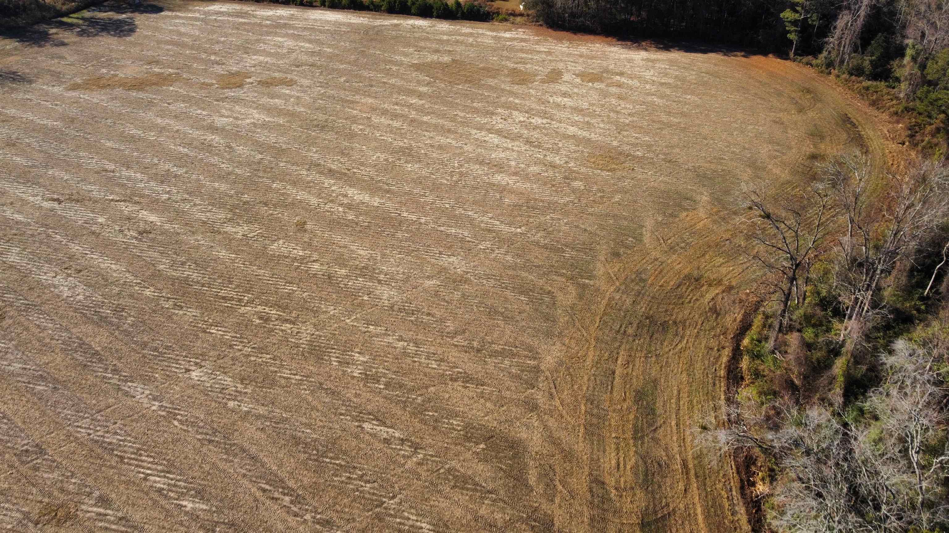 Tbd Black Creek Rd. Property Photo 5