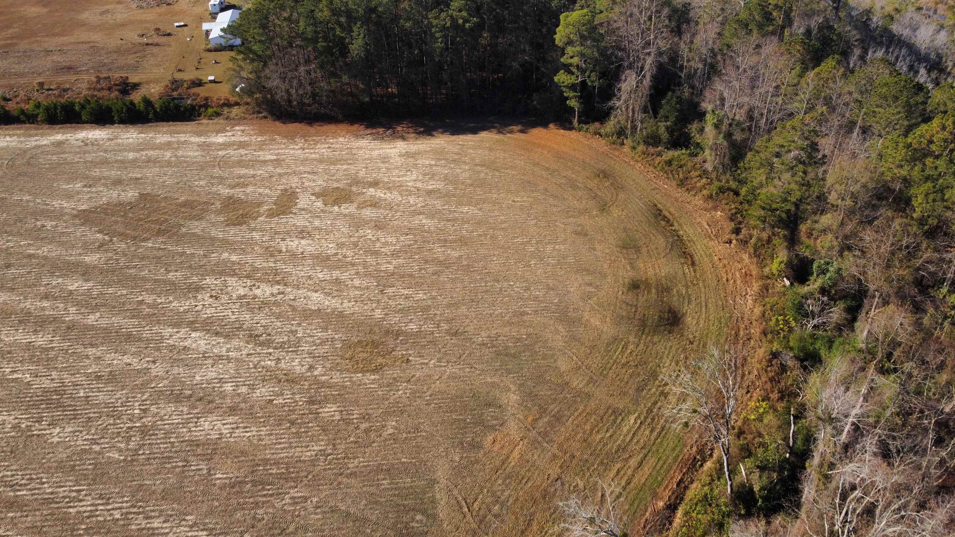 Tbd Black Creek Rd. Property Photo 6