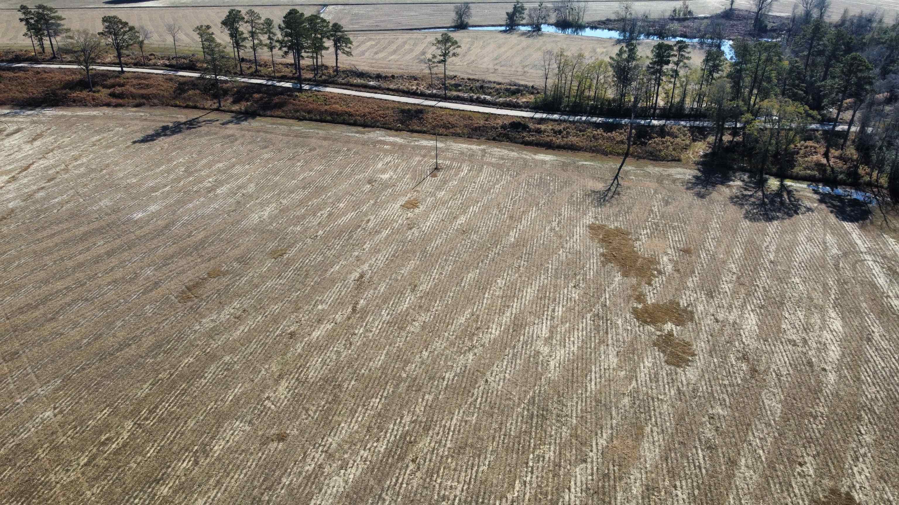 Tbd Black Creek Rd. Property Photo 7