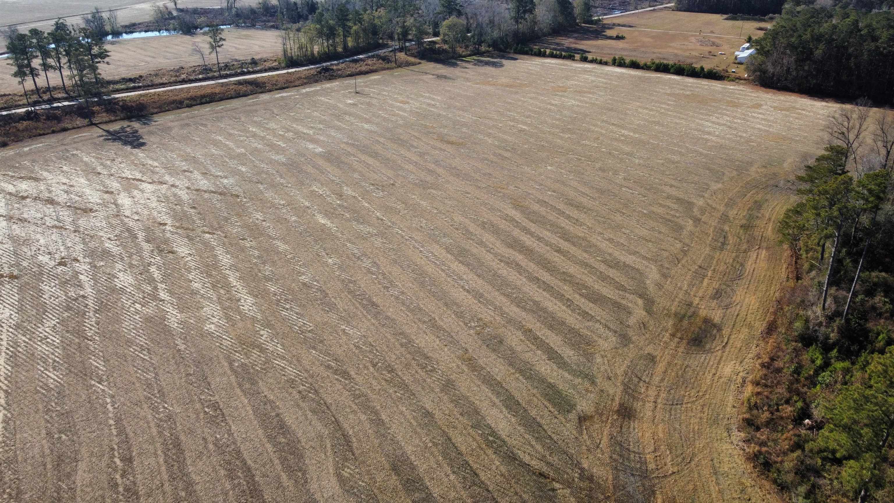 Tbd Black Creek Rd. Property Photo 10