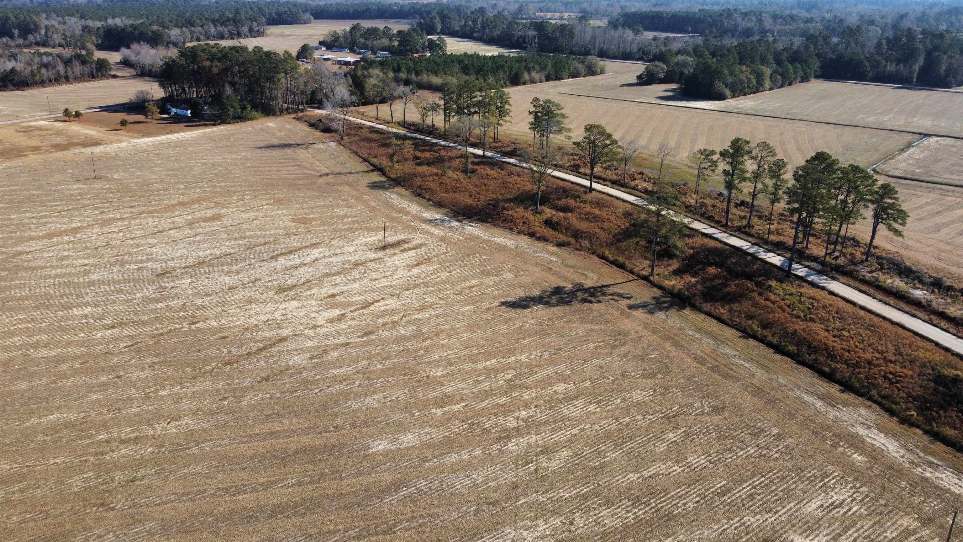 Tbd Black Creek Rd. Property Photo 11