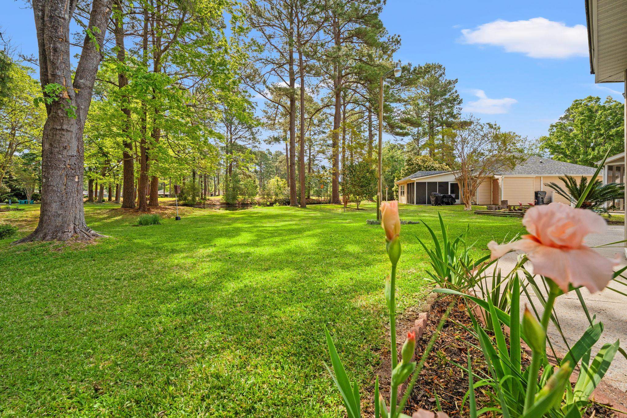6610 Royal Pine Dr. Property Photo 31