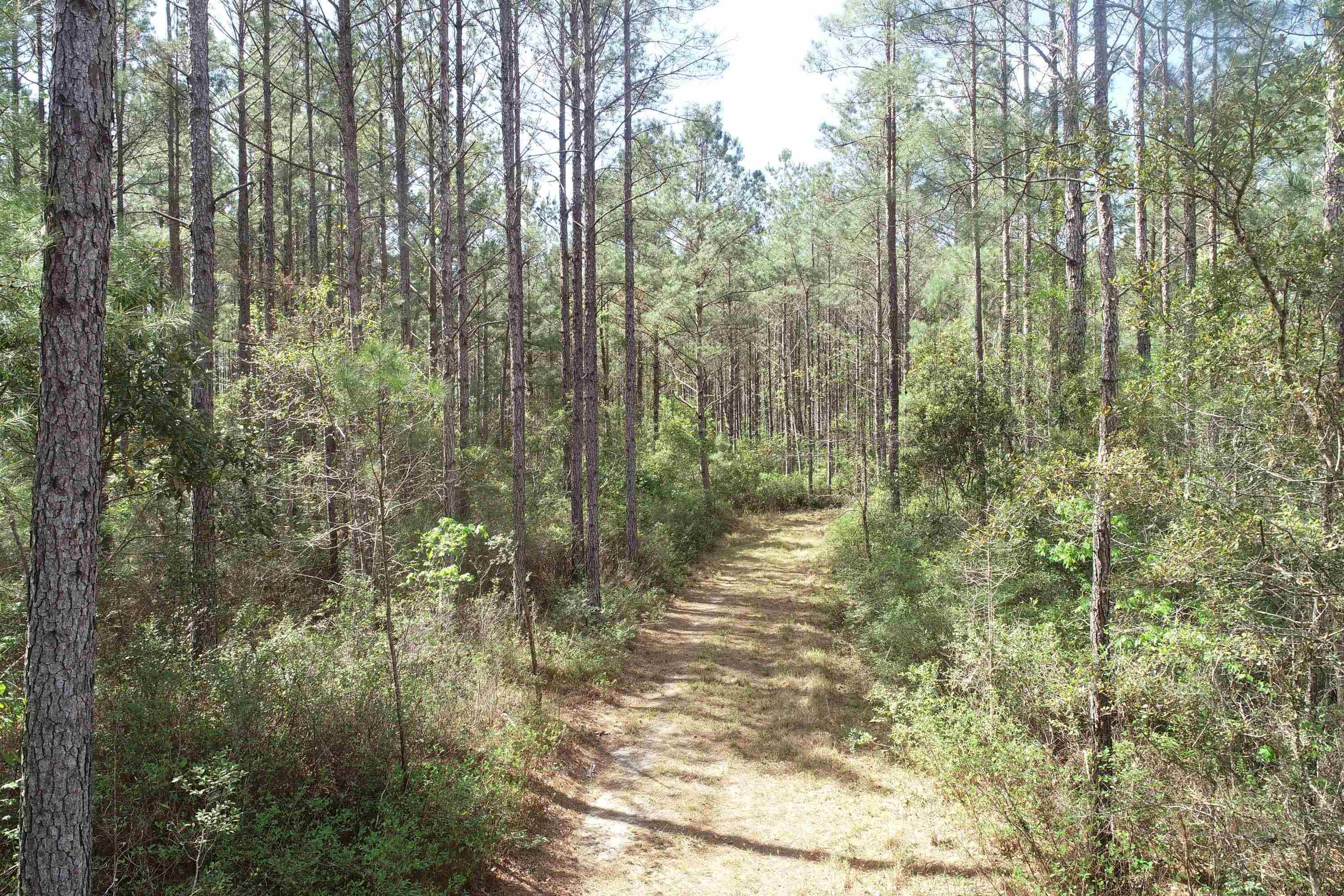 1267 School Bus Rd Property Photo 15