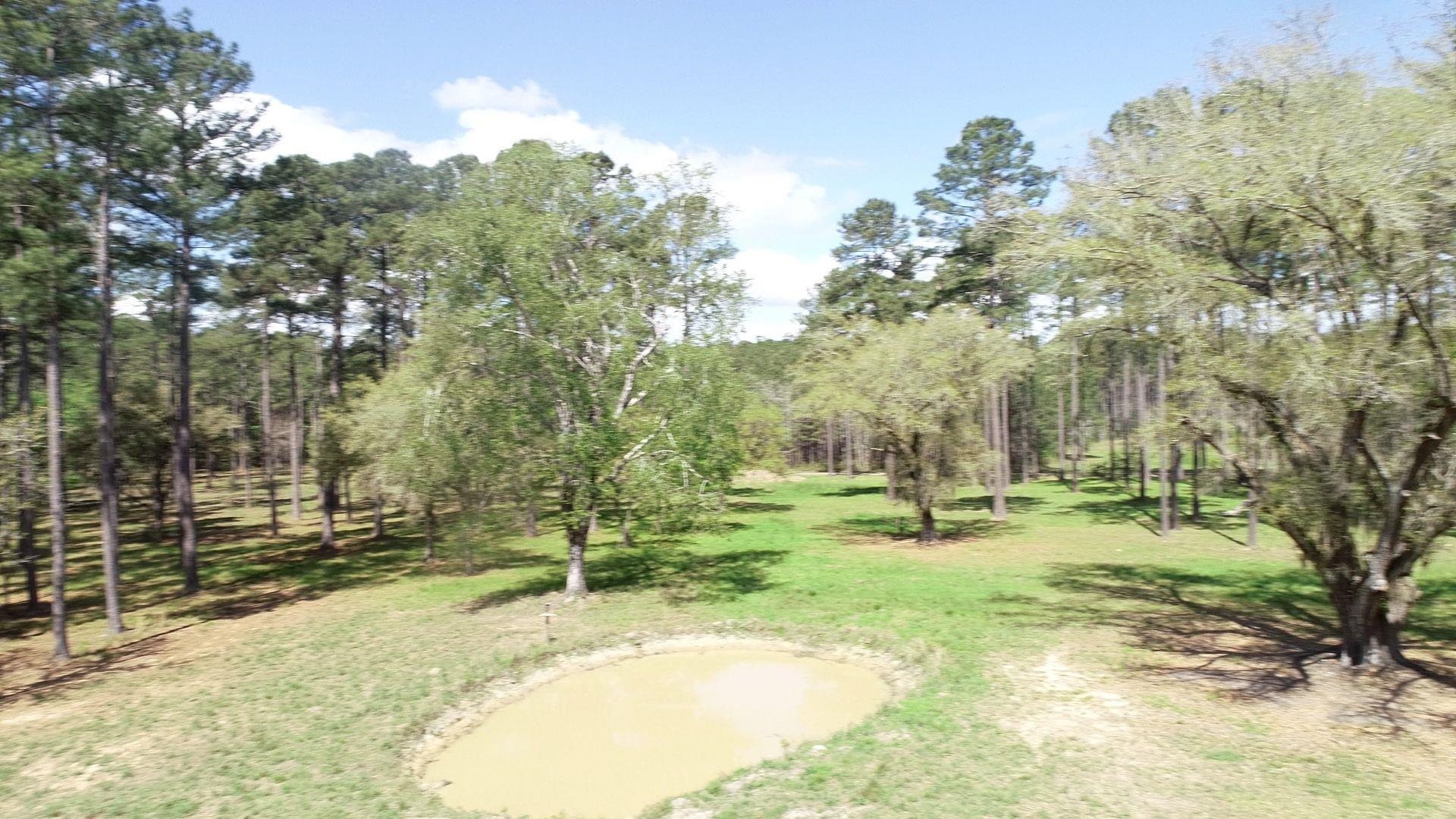 1267 School Bus Rd Property Photo 17