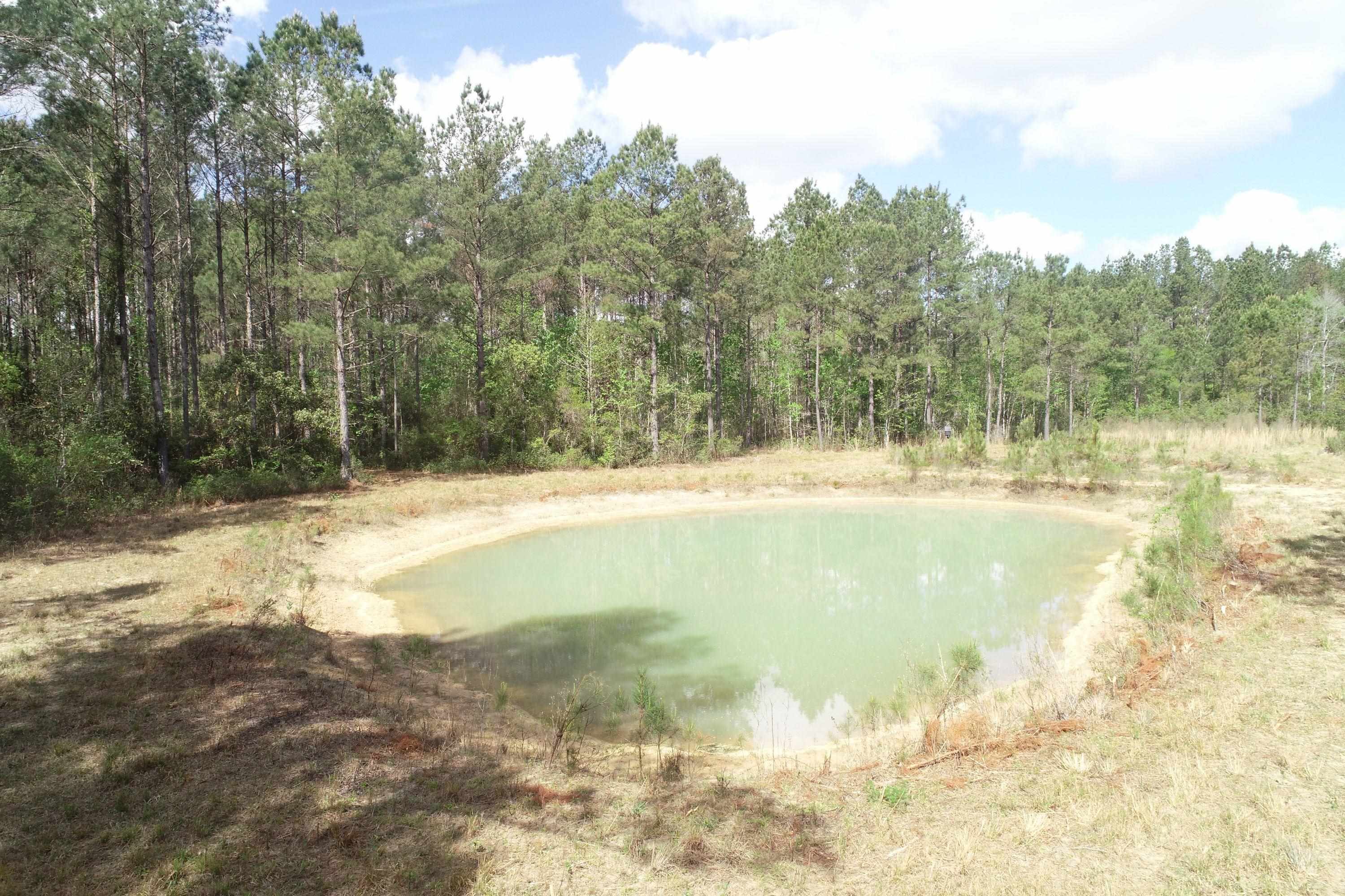 1267 School Bus Rd Property Photo 18
