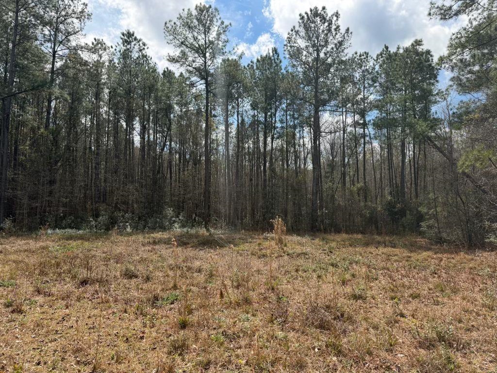 1267 School Bus Rd Property Photo 19