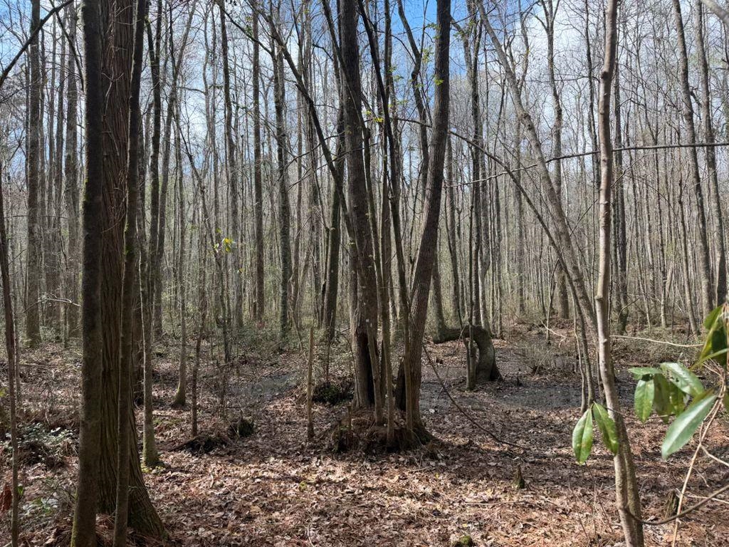 1267 School Bus Rd Property Photo 20