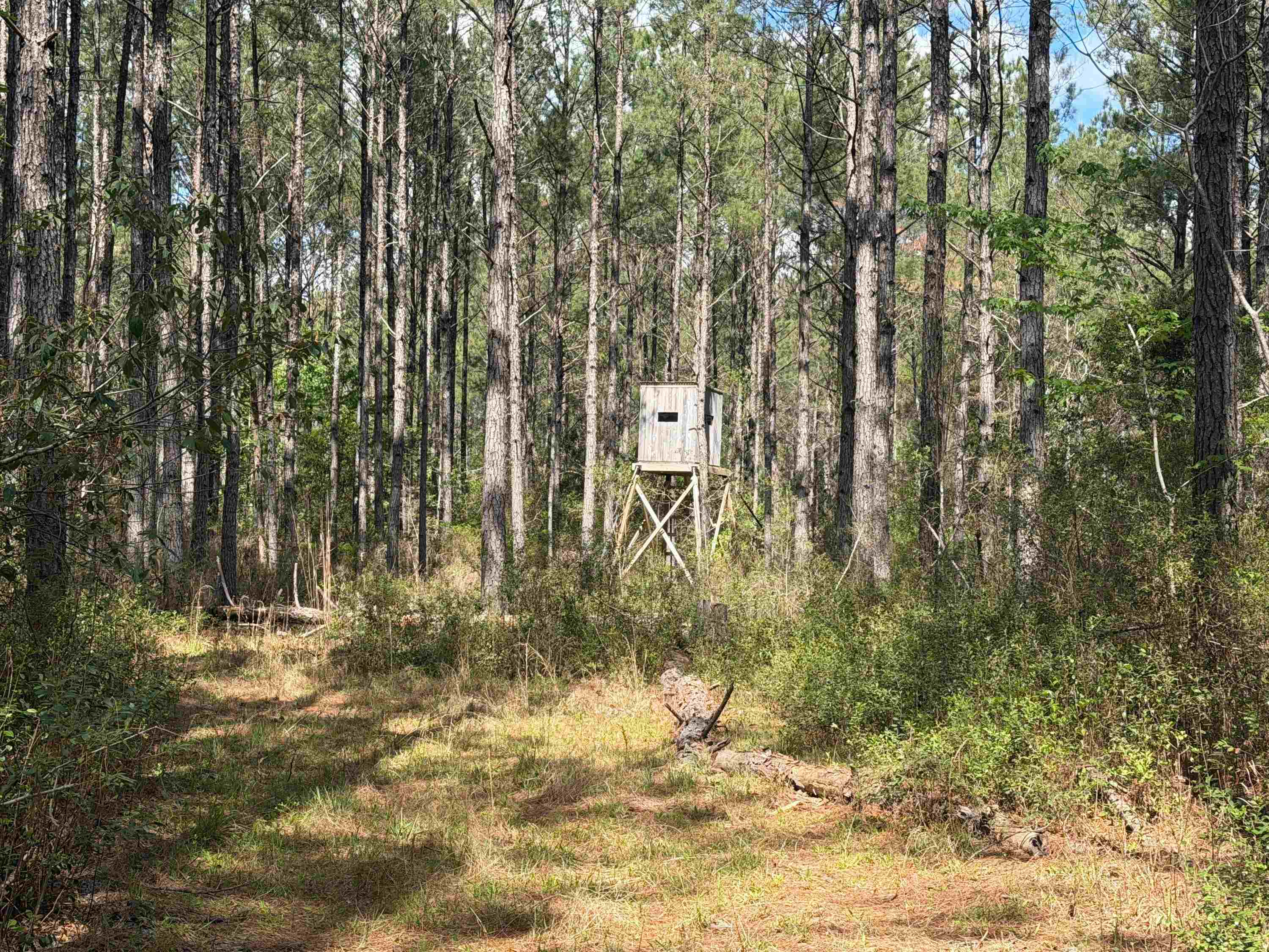 1267 School Bus Rd Property Photo 21
