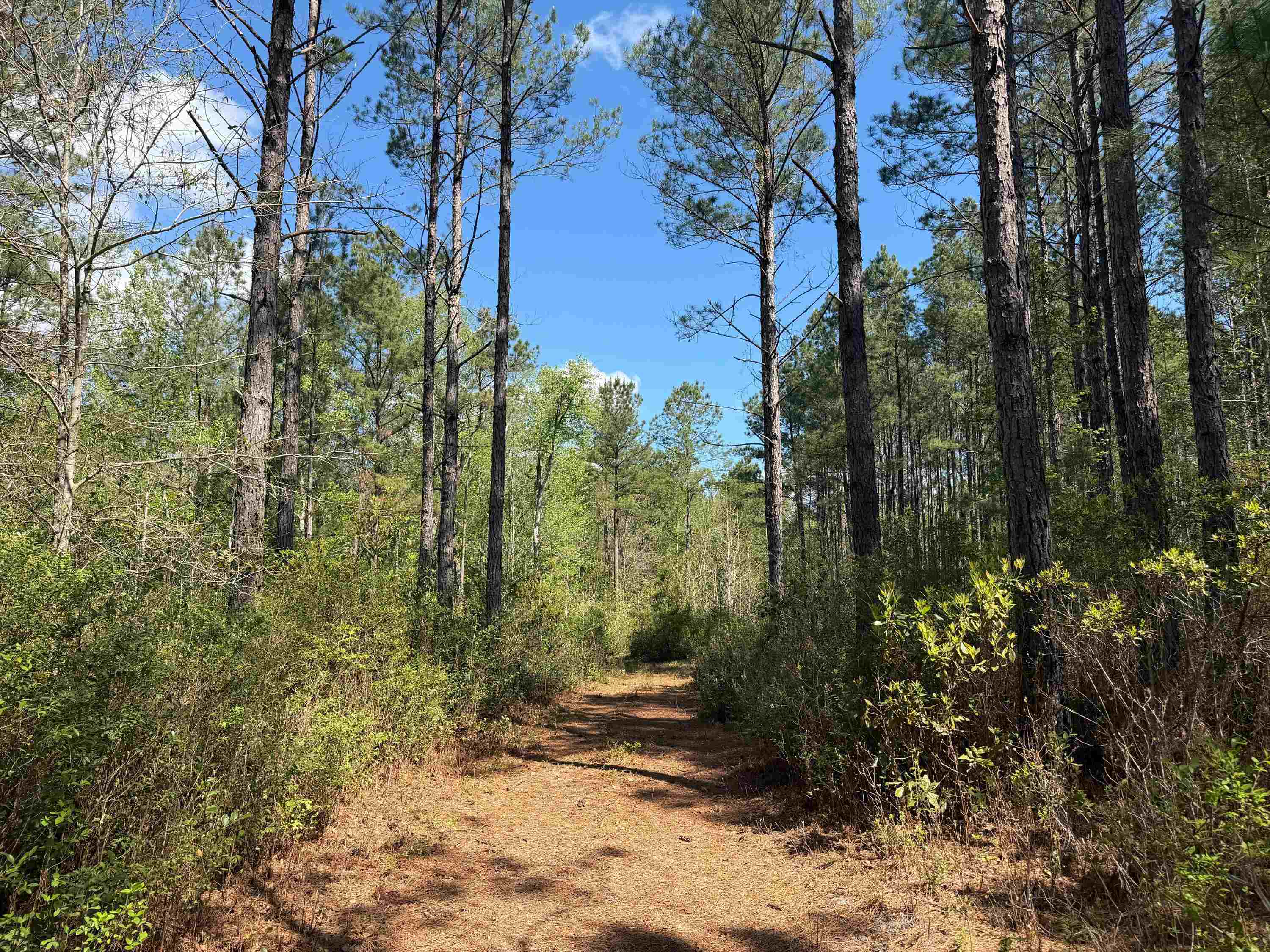1267 School Bus Rd Property Photo 22