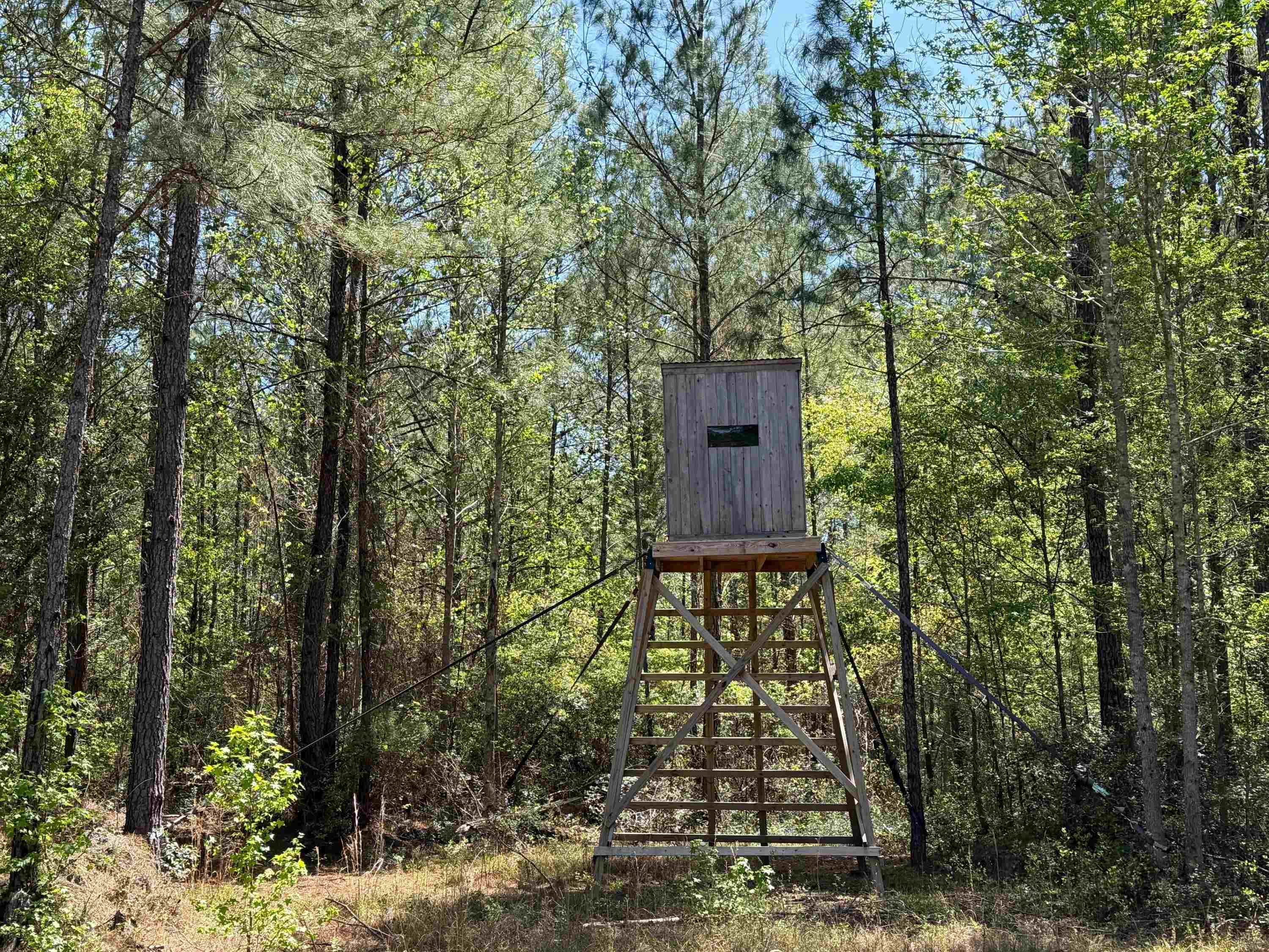 1267 School Bus Rd Property Photo 23