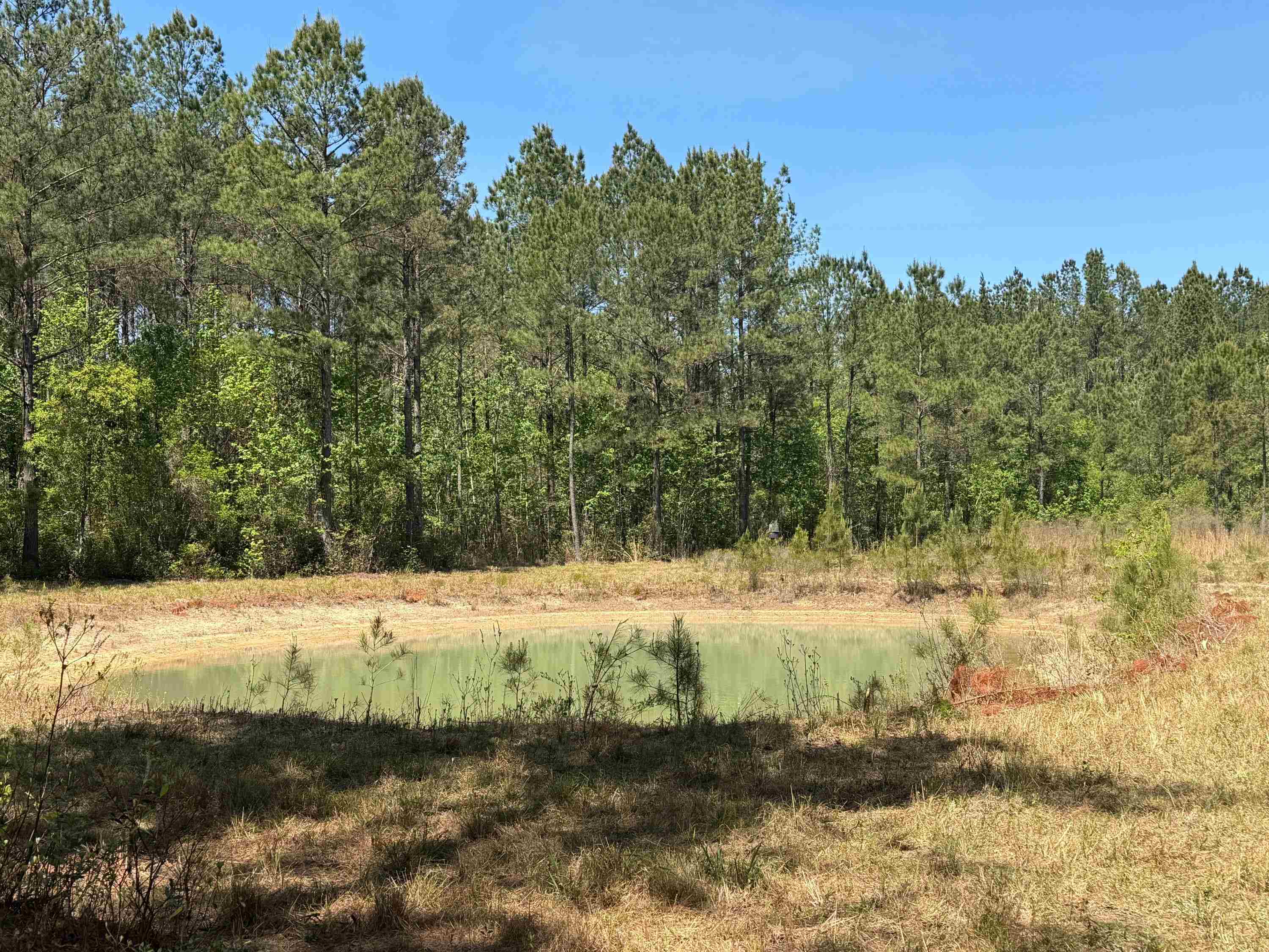 1267 School Bus Rd Property Photo 24