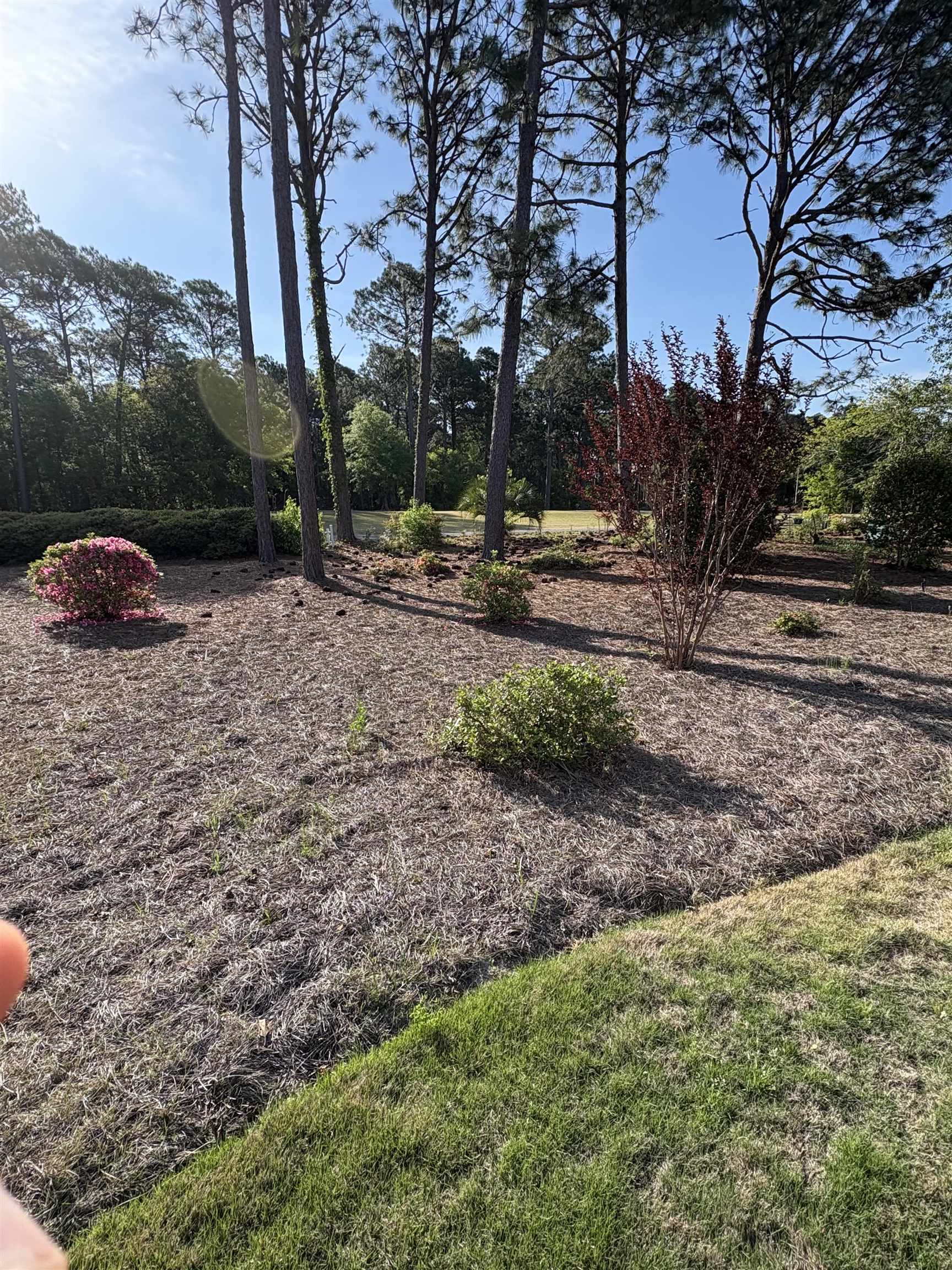 308 Crooked Gulley Circle Property Photo 6