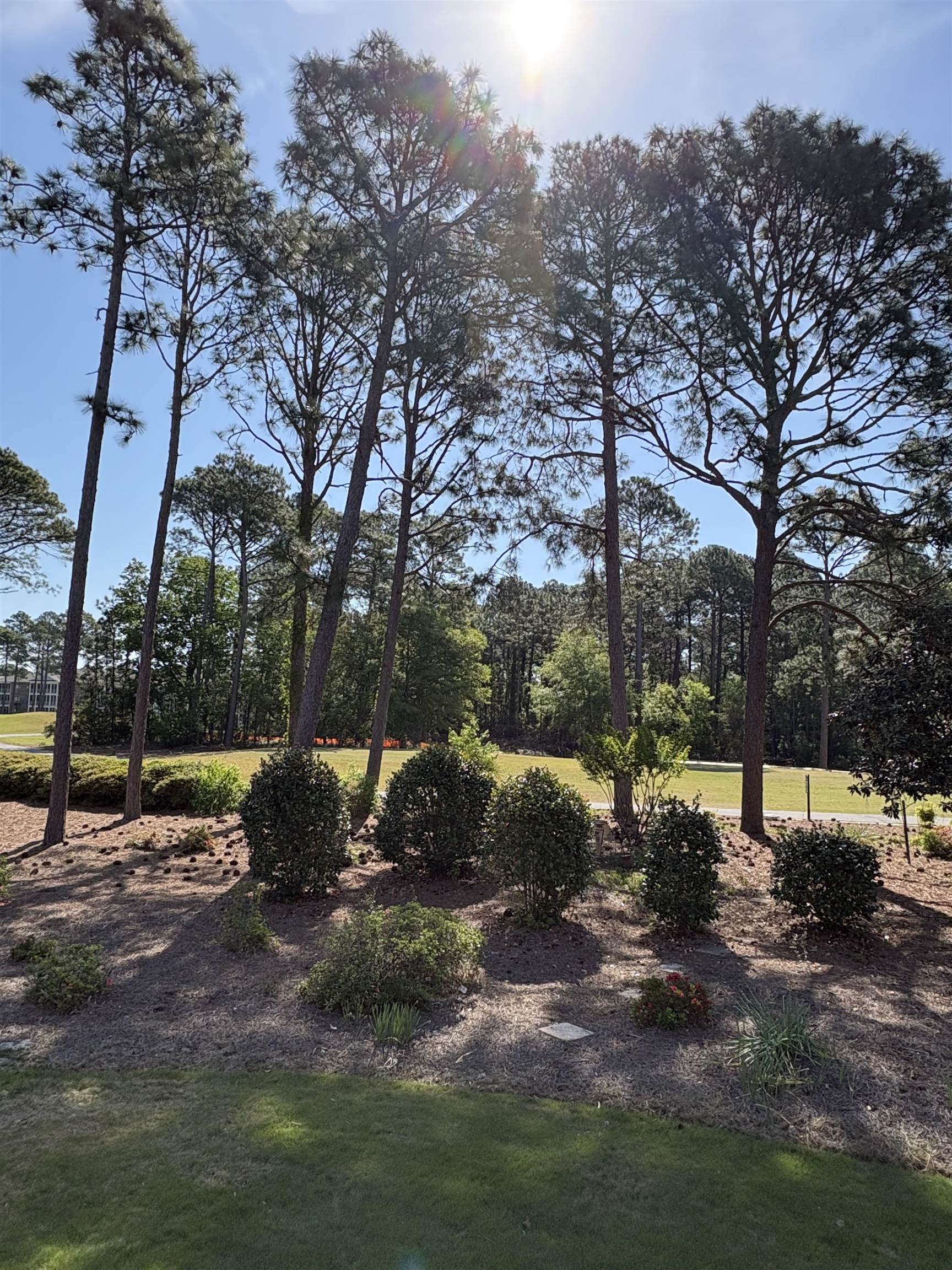 308 Crooked Gulley Circle Property Photo 15