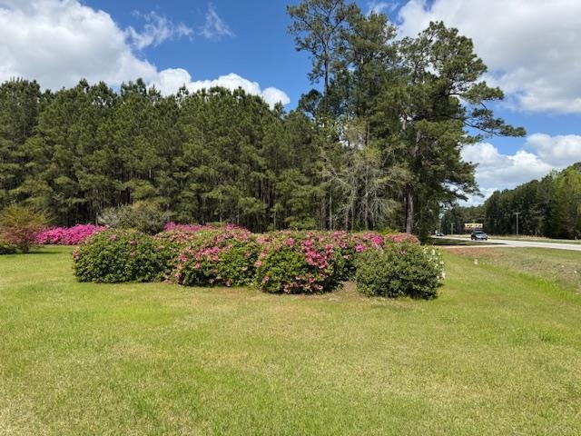 3745 Highway 501 Property Photo 5