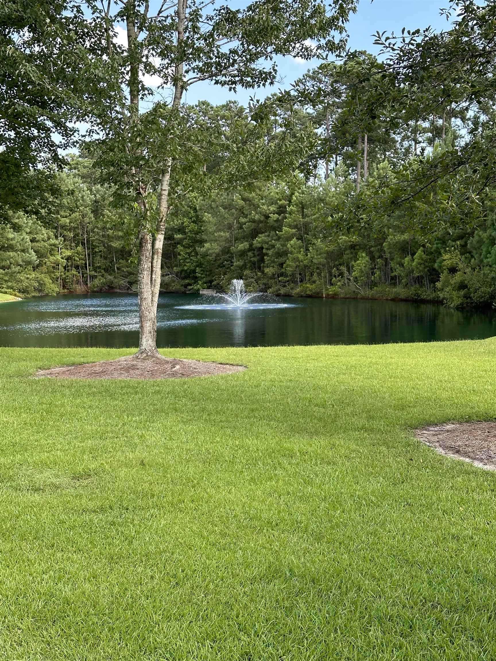 126 Low Country Loop Property Photo 39