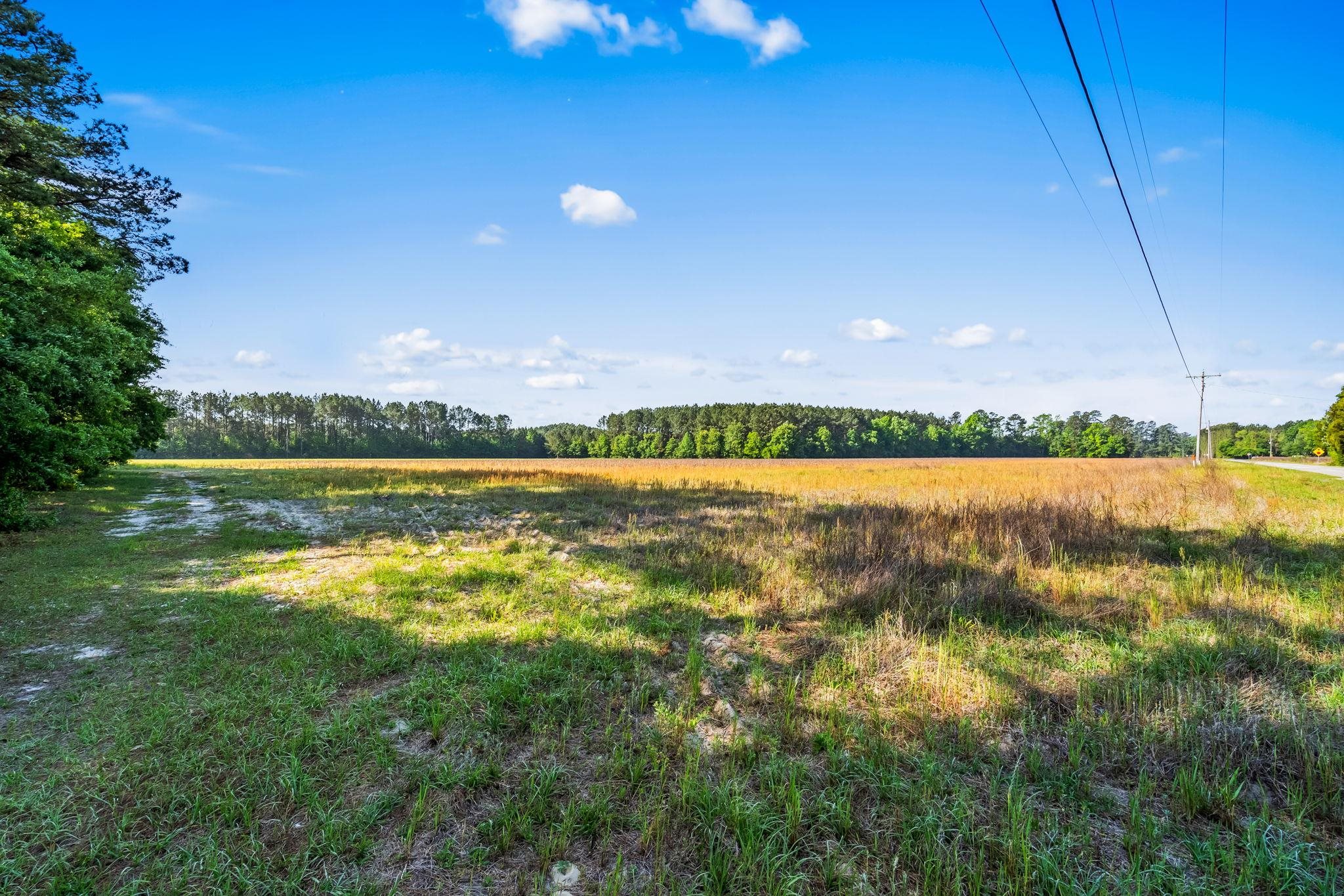 Tbd Ray Rd. Property Photo 15