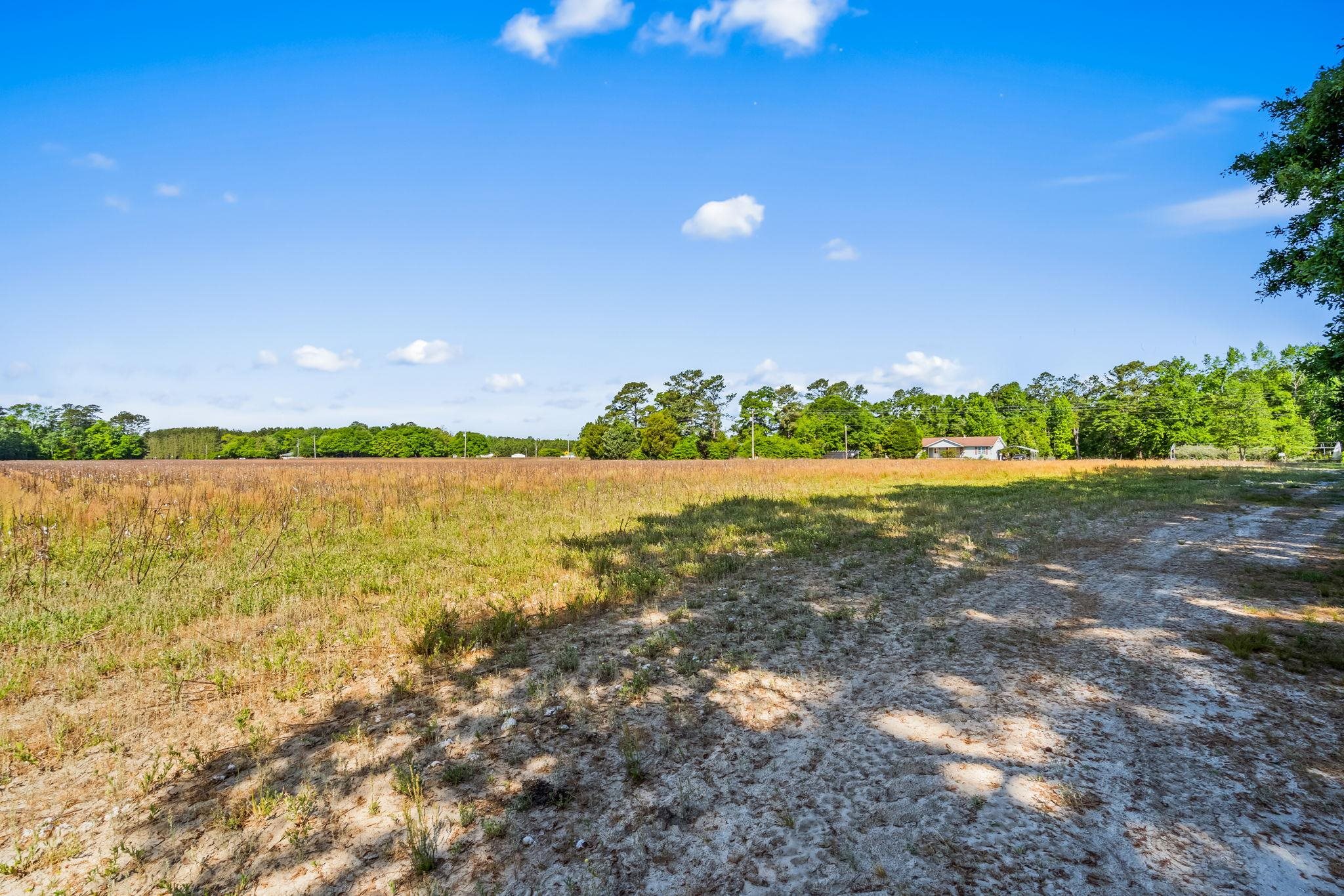 Tbd Ray Rd. Property Photo 16