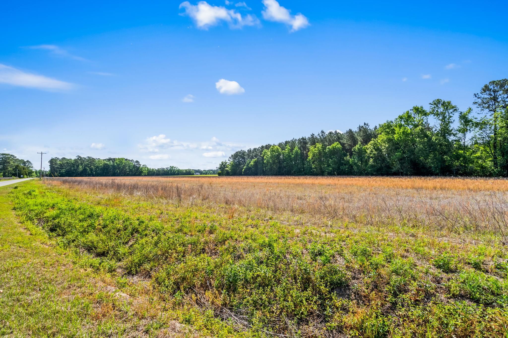 Tbd Ray Rd. Property Photo 17