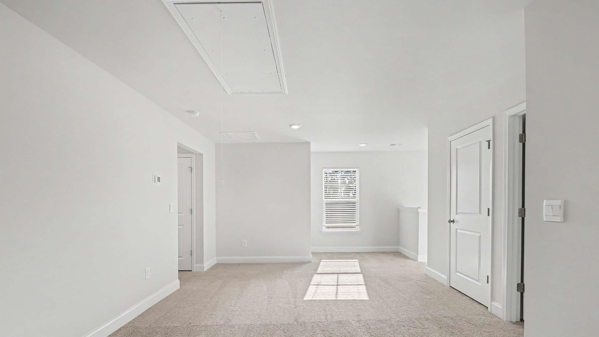 217 Blueberry Fields Ct. Property Photo 17
