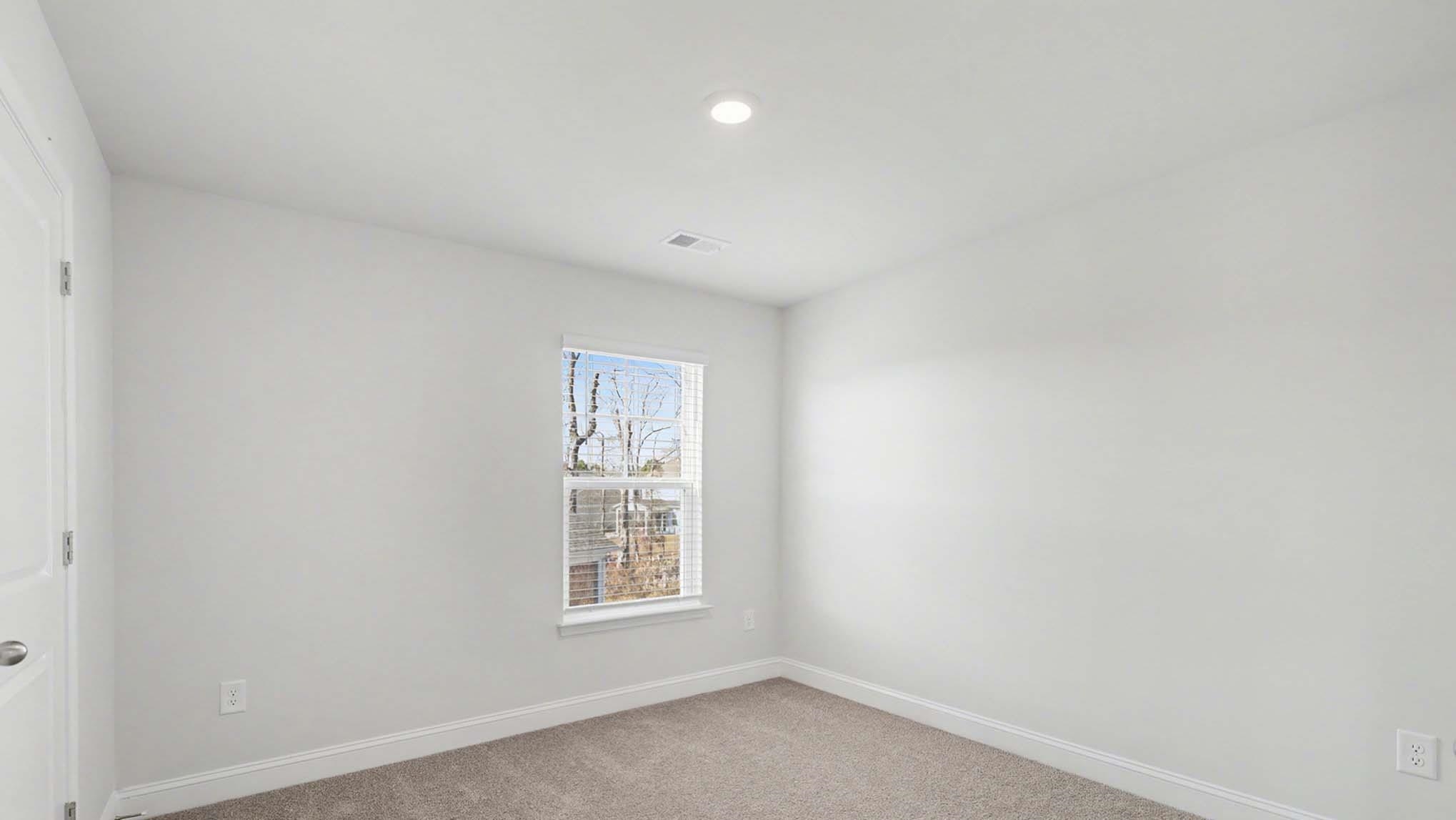 217 Blueberry Fields Ct. Property Photo 23
