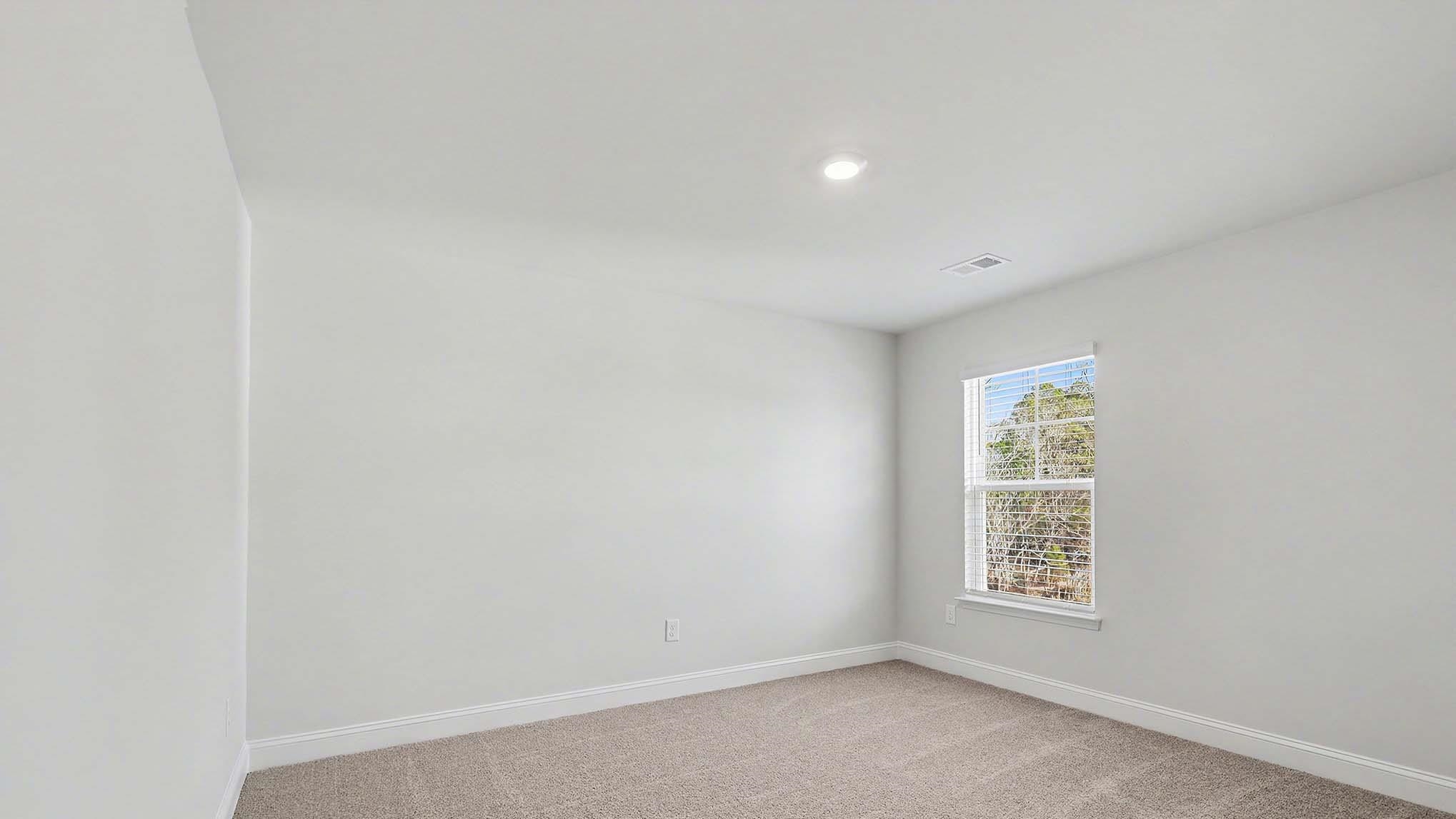 217 Blueberry Fields Ct. Property Photo 24