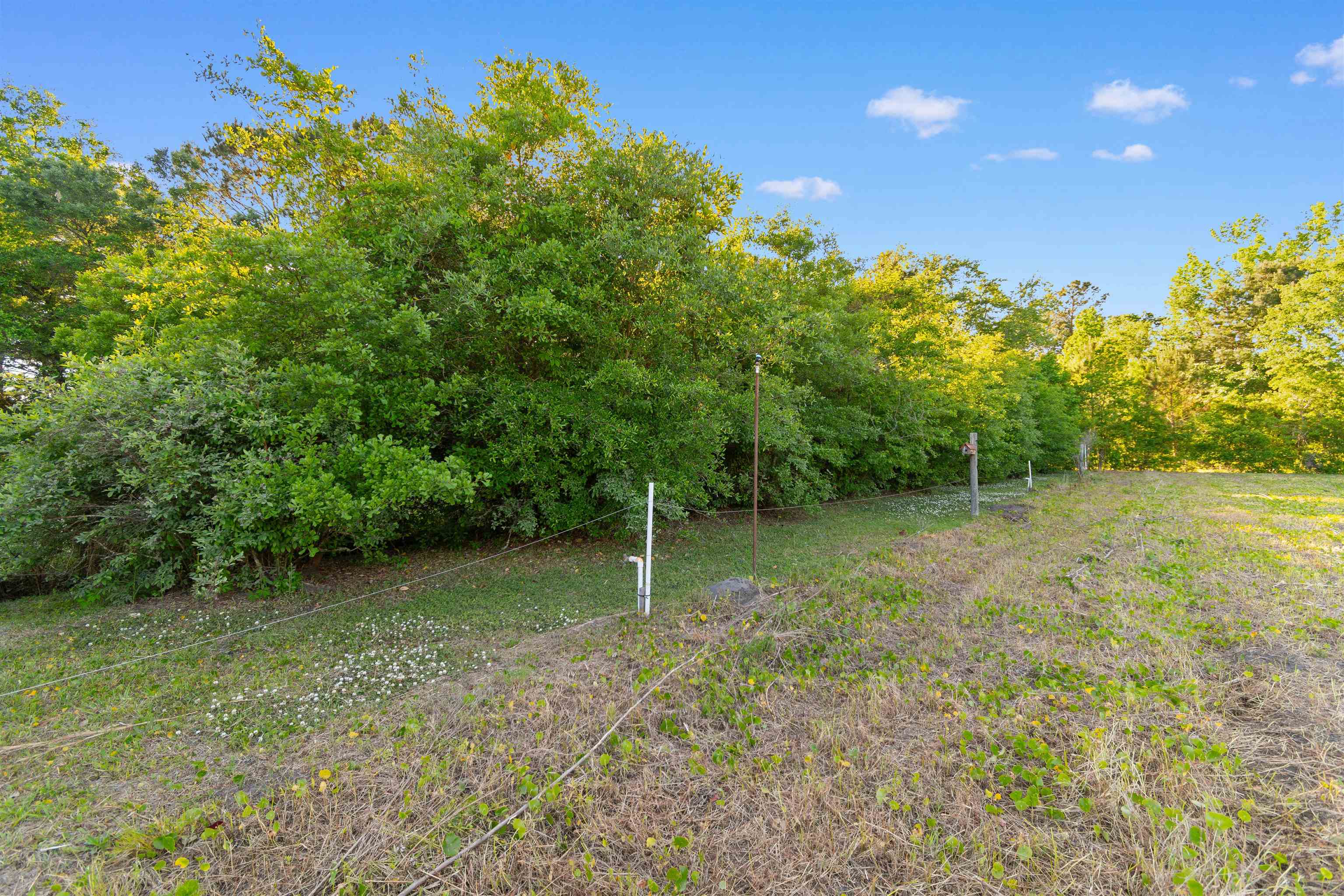 1594 Montford Rd. Property Photo 44