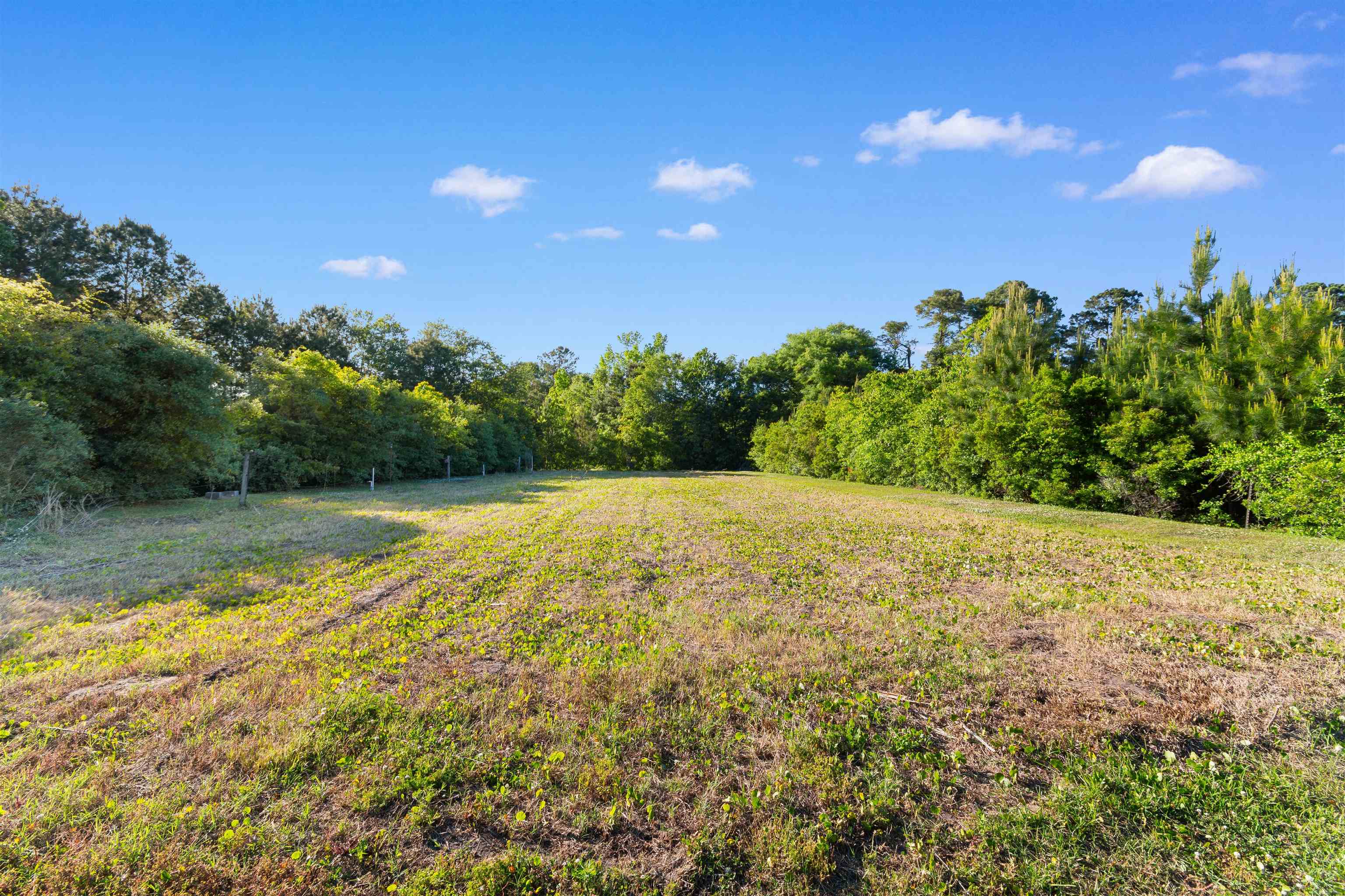 1594 Montford Rd. Property Photo 45