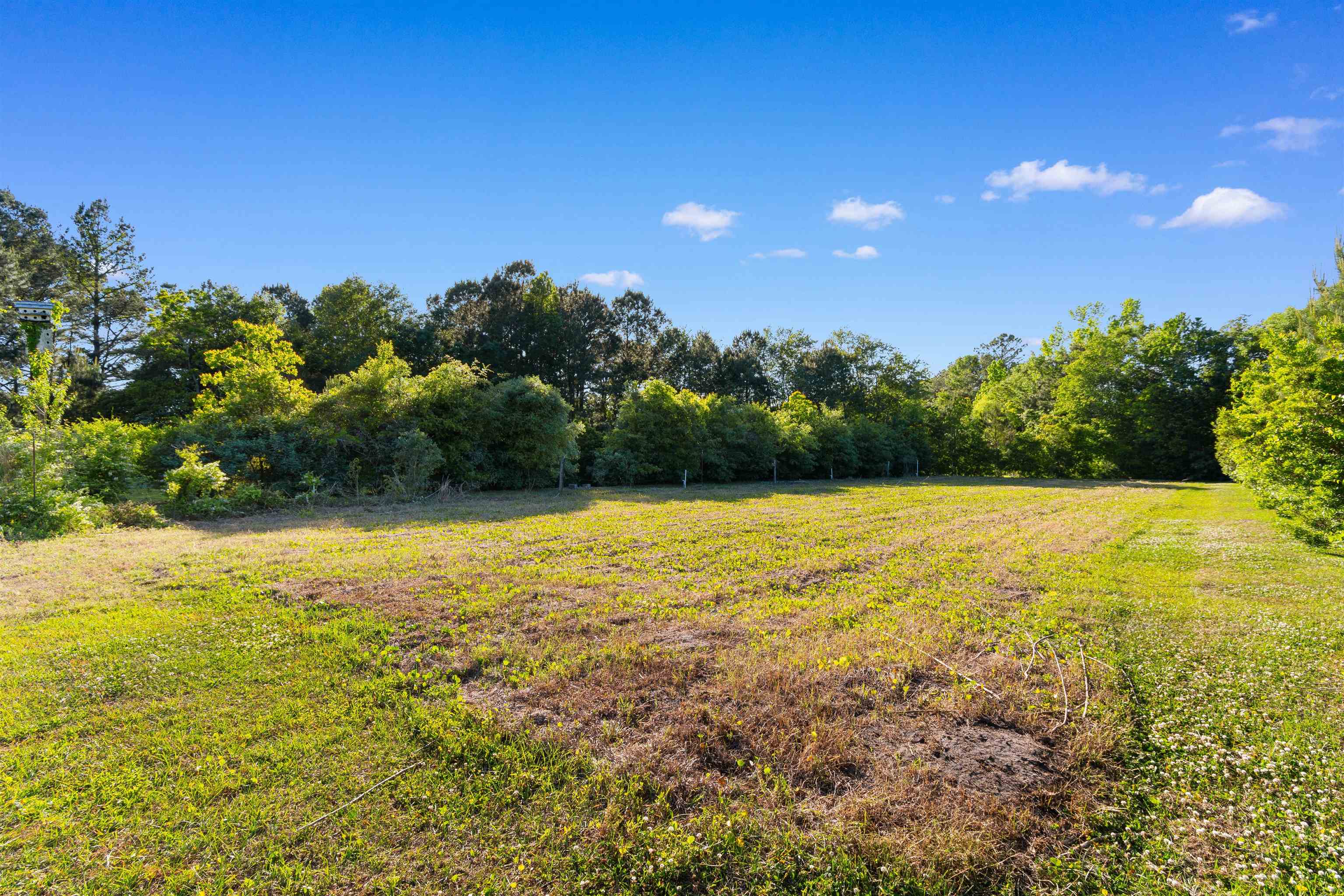 1594 Montford Rd. Property Photo 46