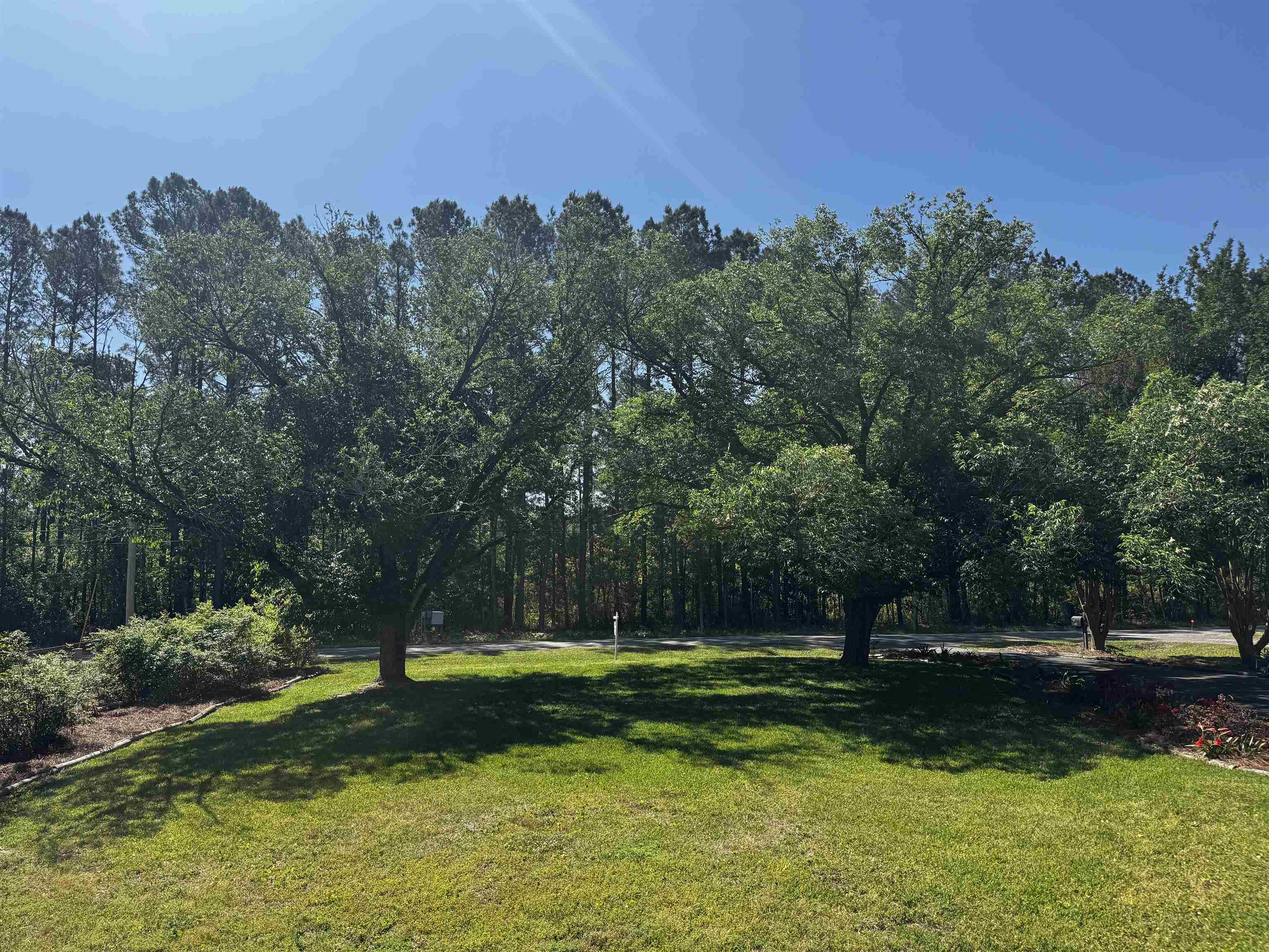 1594 Montford Rd. Property Photo 59